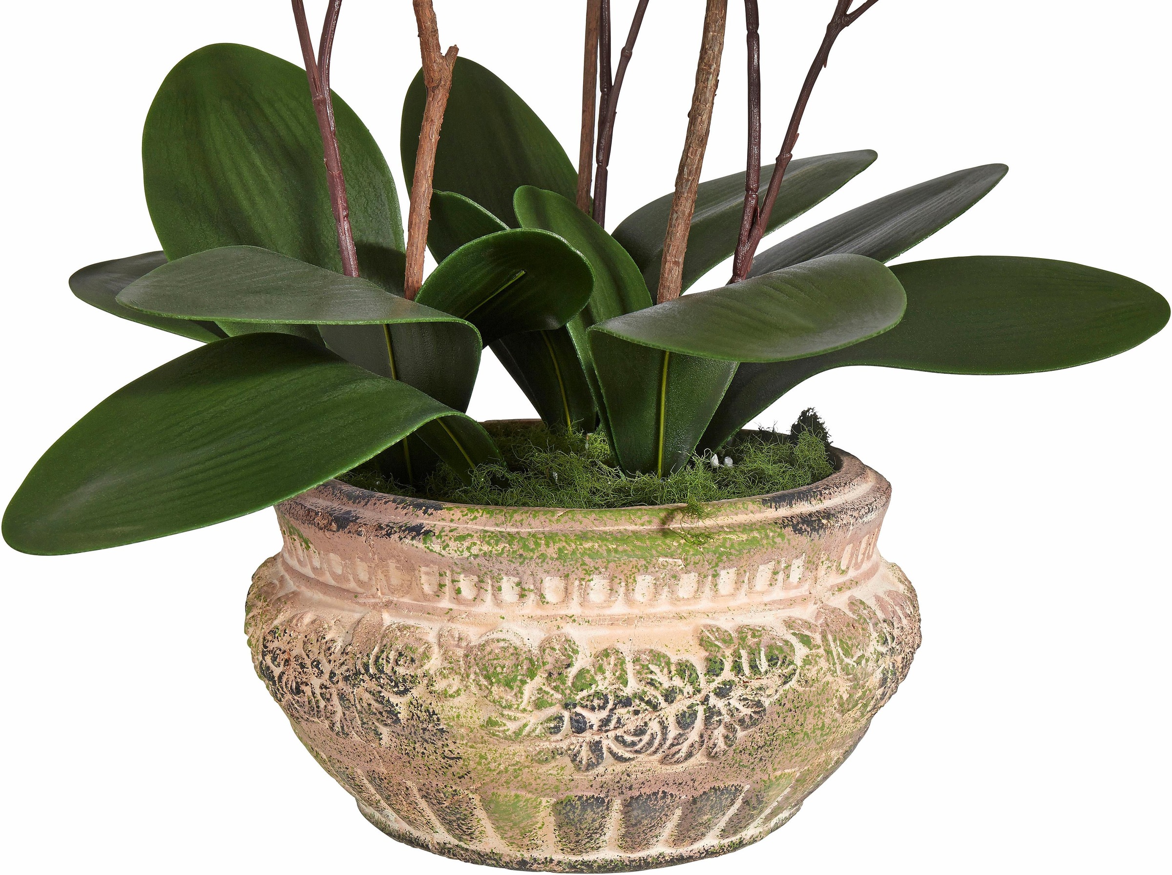 Schneider Kunstpflanze »Orchidee«, (2 St.)