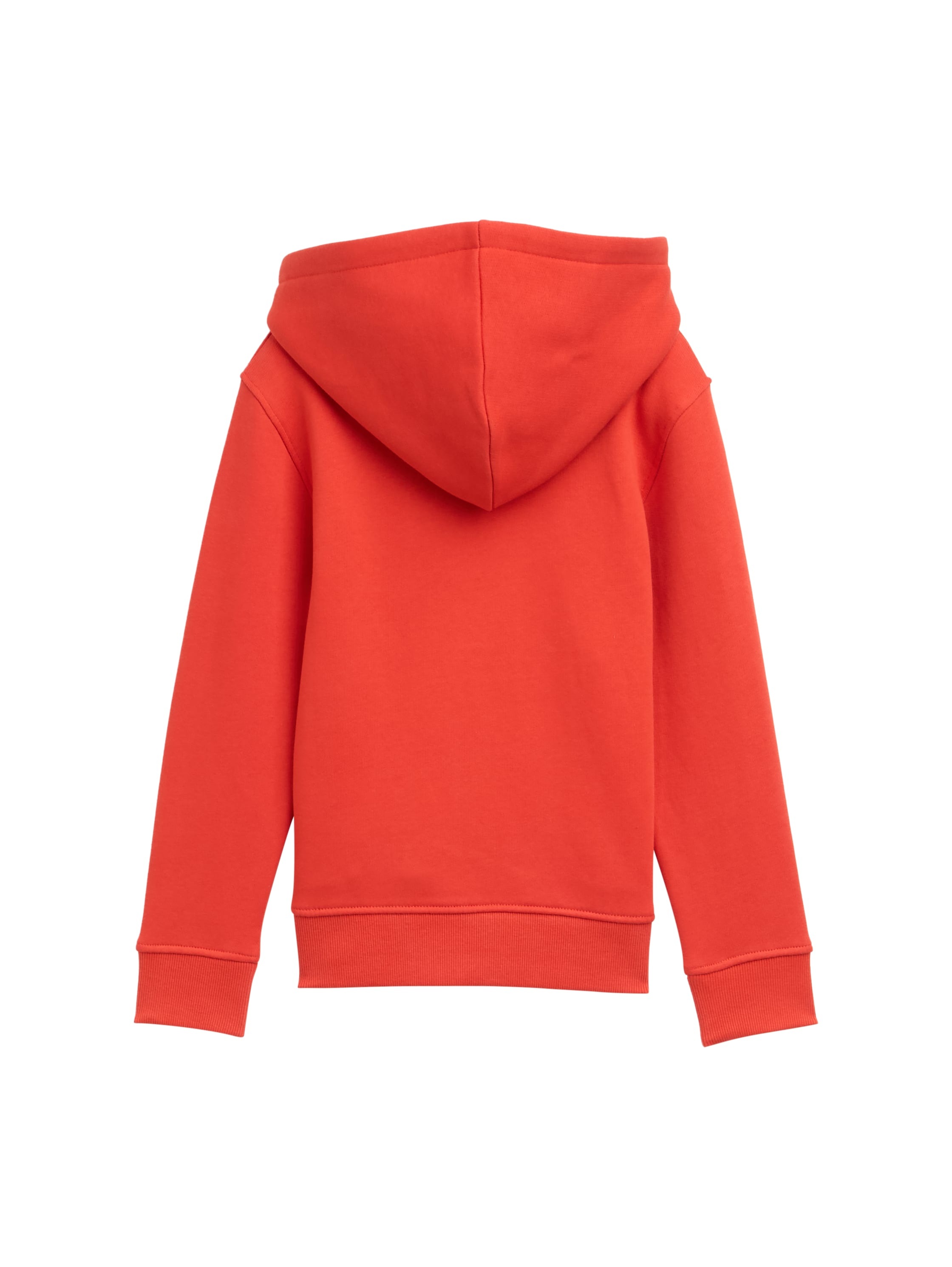 TOM TAILOR Hoodie, mit Kapuze und Kängurutasche