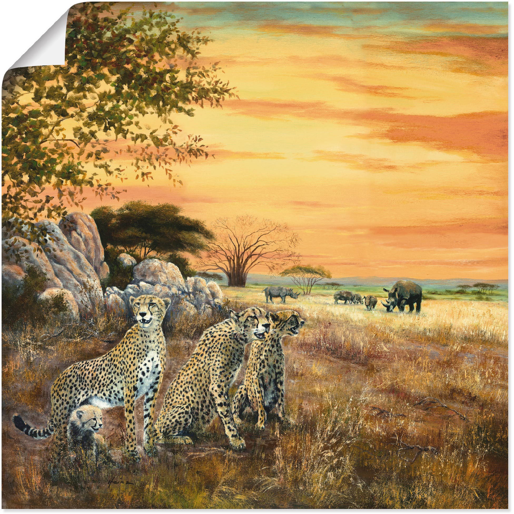 Artland Wandbild »Geparden«, Geparden Bilder, (1 St.), als Alubild,  Leinwandbild, Wandaufkleber oder Poster in versch. Größen kaufen online bei  OTTO