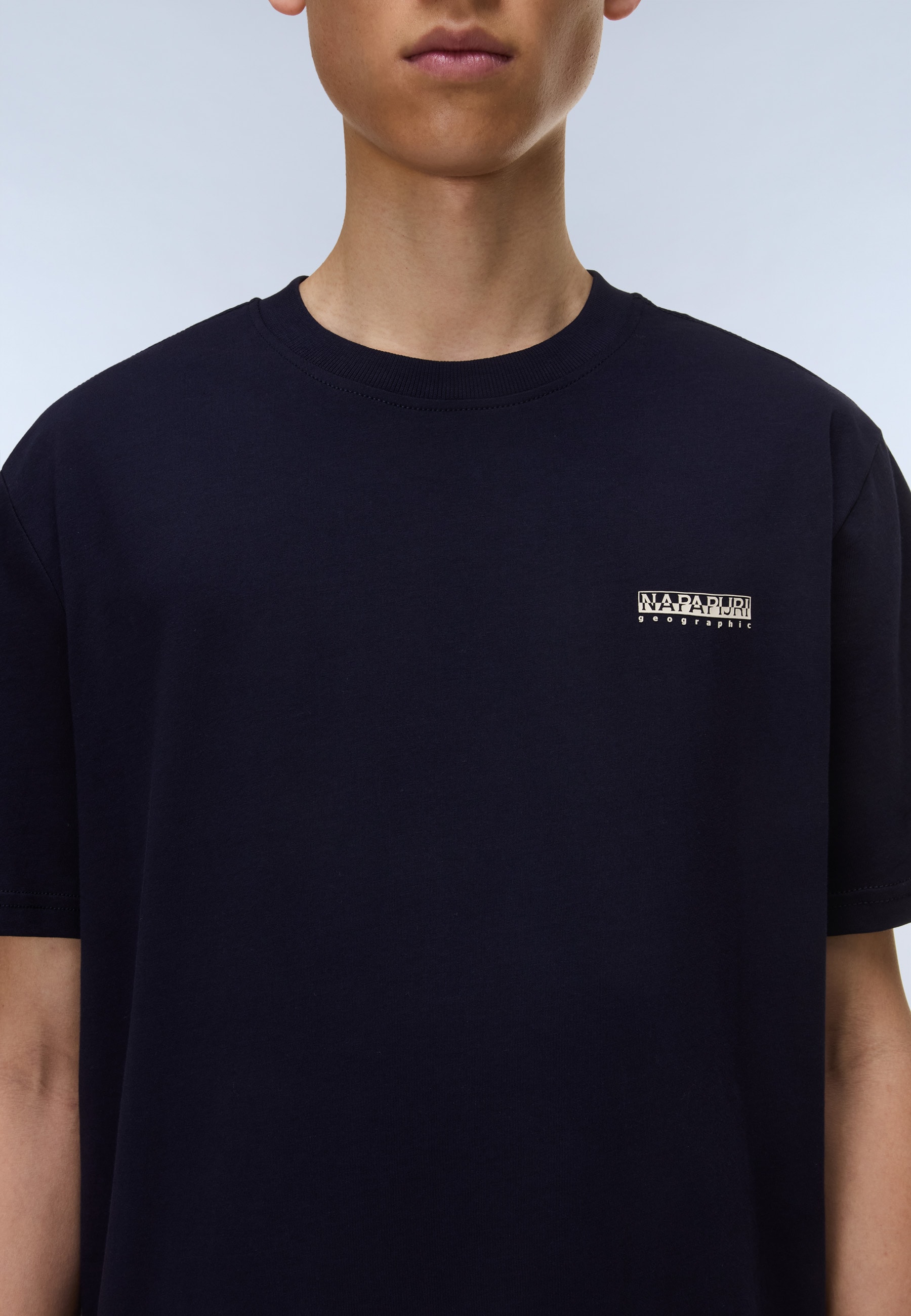 Napapijri T-Shirt »S-SMALL BOX« mit Kurzarm-Design, aus Baumwoll-Jersey, normale Schnittform