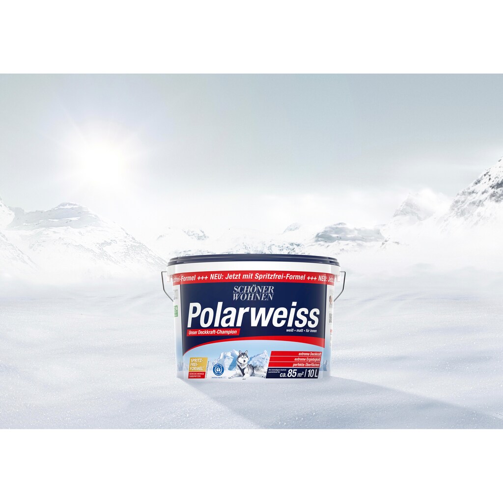 SCHÖNER WOHNEN FARBE Wand- und Deckenfarbe »Polarweiss«