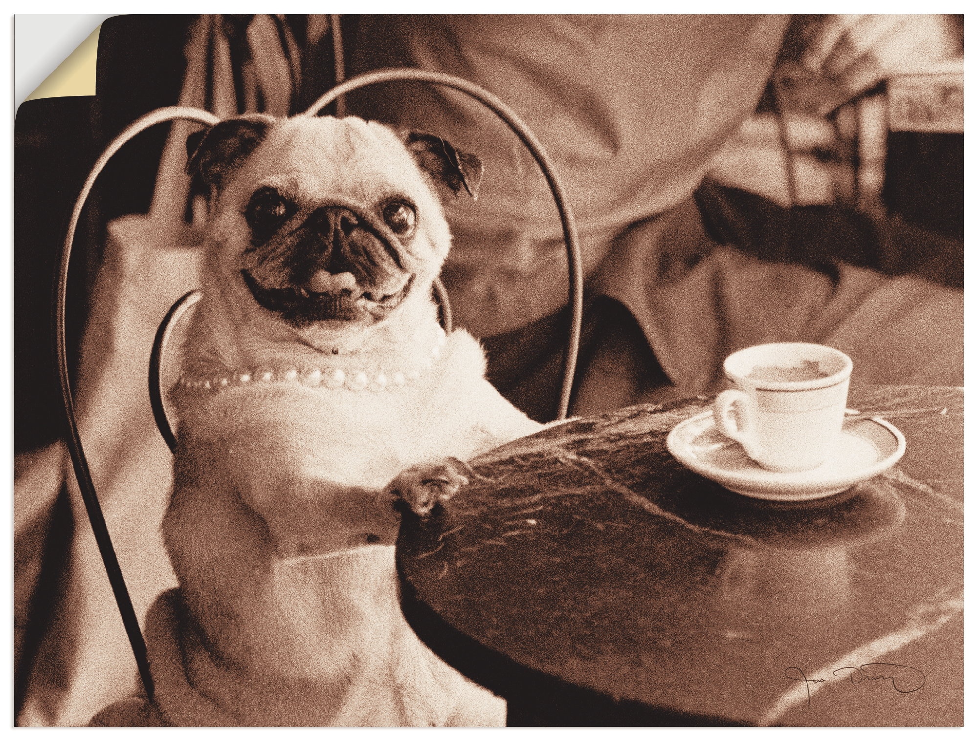 »Kaffee Wandaufkleber St.), oder Leinwandbild, Poster OTTO Online im Shop (1 Wandbild als in Mops«, Artland Größen Haustiere, versch.