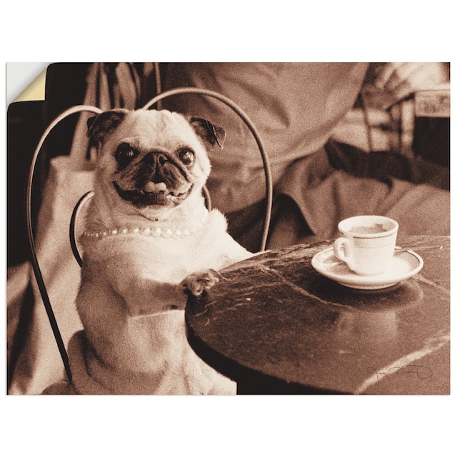 Artland Wandbild »Kaffee Mops«, Haustiere, (1 St.), als Leinwandbild,  Wandaufkleber oder Poster in versch. Größen im OTTO Online Shop