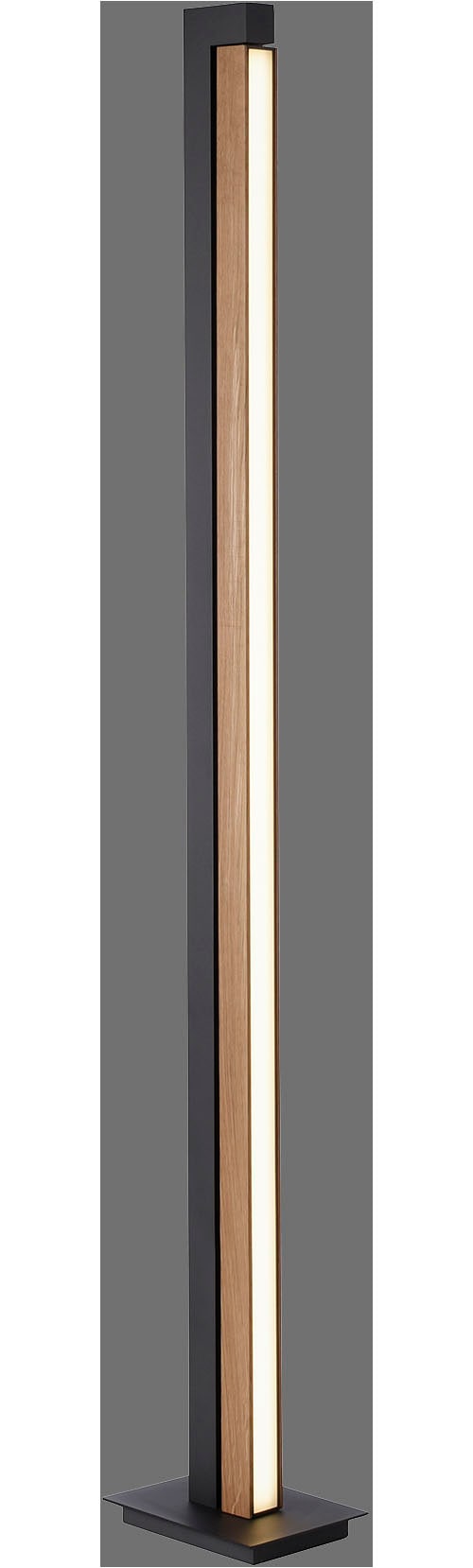 Neuhaus PURE LED Stehlampe »PURE Lines Floor« LED-Board 1 Stk. warmweiß - kaltweiß Lichtquelle bis 180° drehbar, CCT, dimmbar