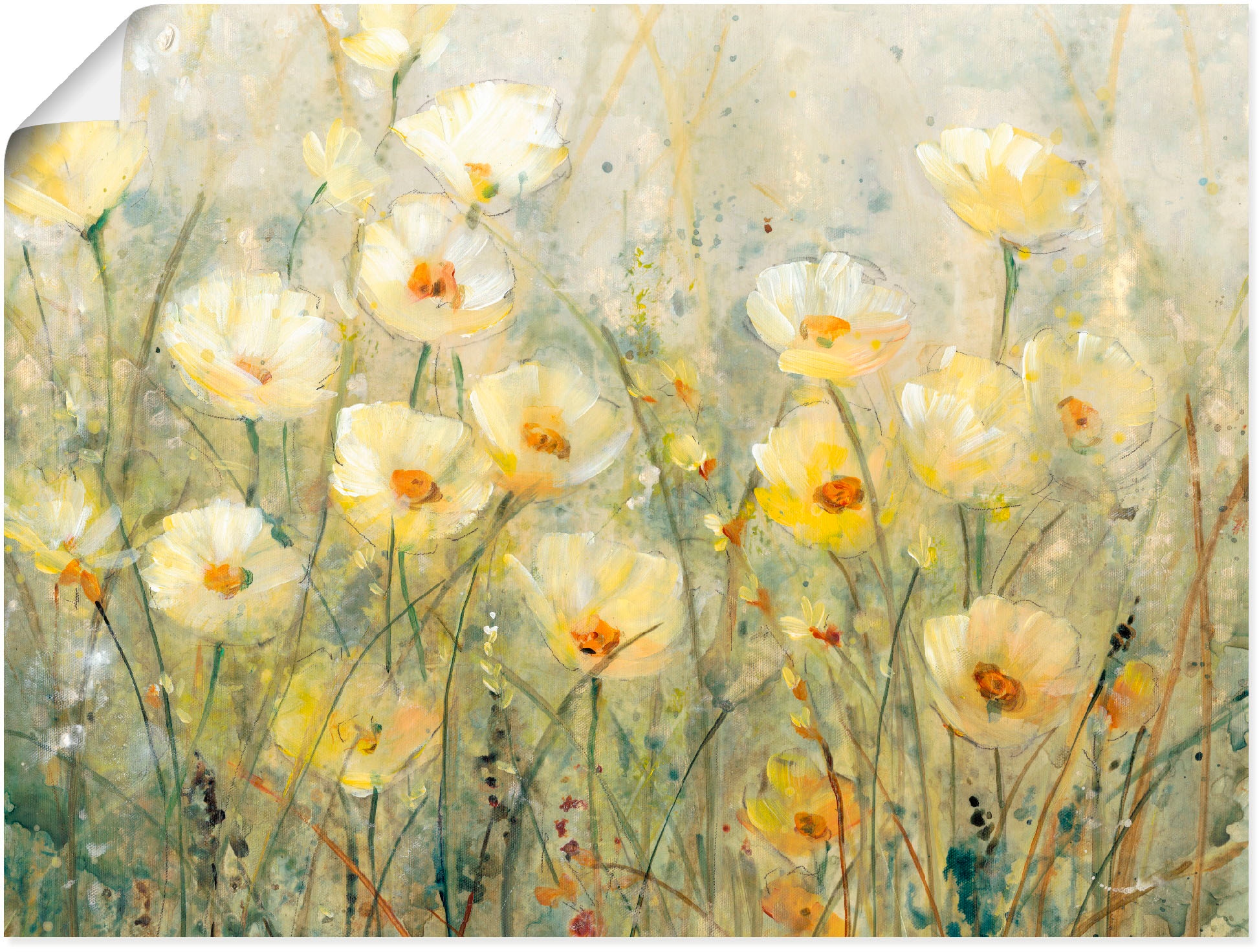 Artland Wandbild Blumenwiese, voller (1 I«, Blüte St.) im Shop in »Sommer Online OTTO