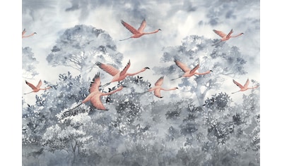 Komar Fototapete »Vliestapete Flamingos in the Sky«,... kaufen