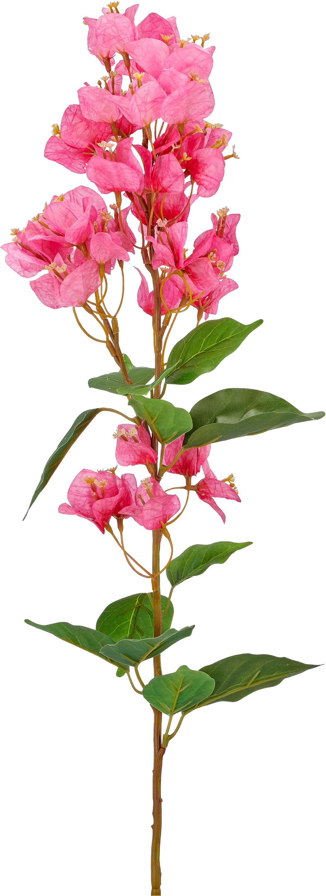 Creativ green Kunstzweig »Bougainvilleazweig« mit traumhaft schönen Blüten