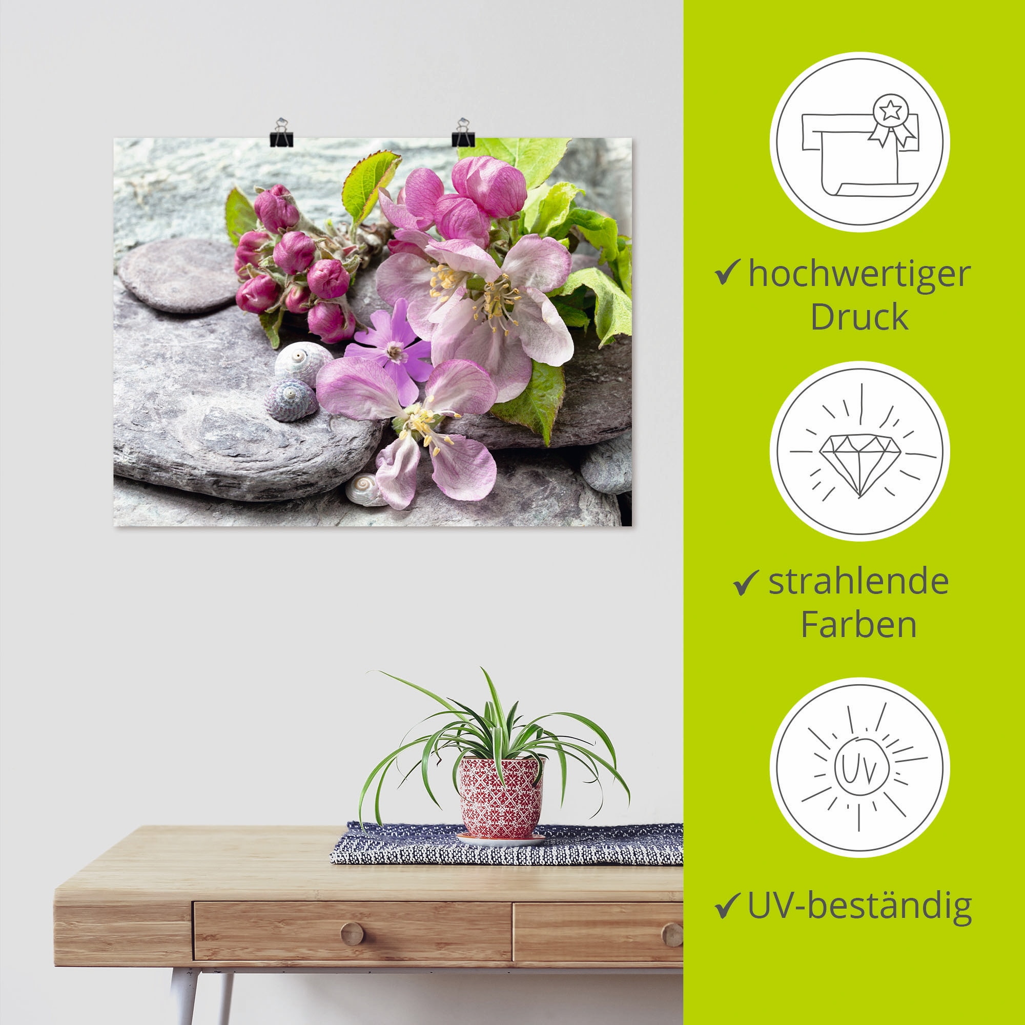 Artland Wandbild »Apfelblüten«, Blumen, (1 St.), als Leinwandbild, Poster, Wandaufkleber in verschied. Größen