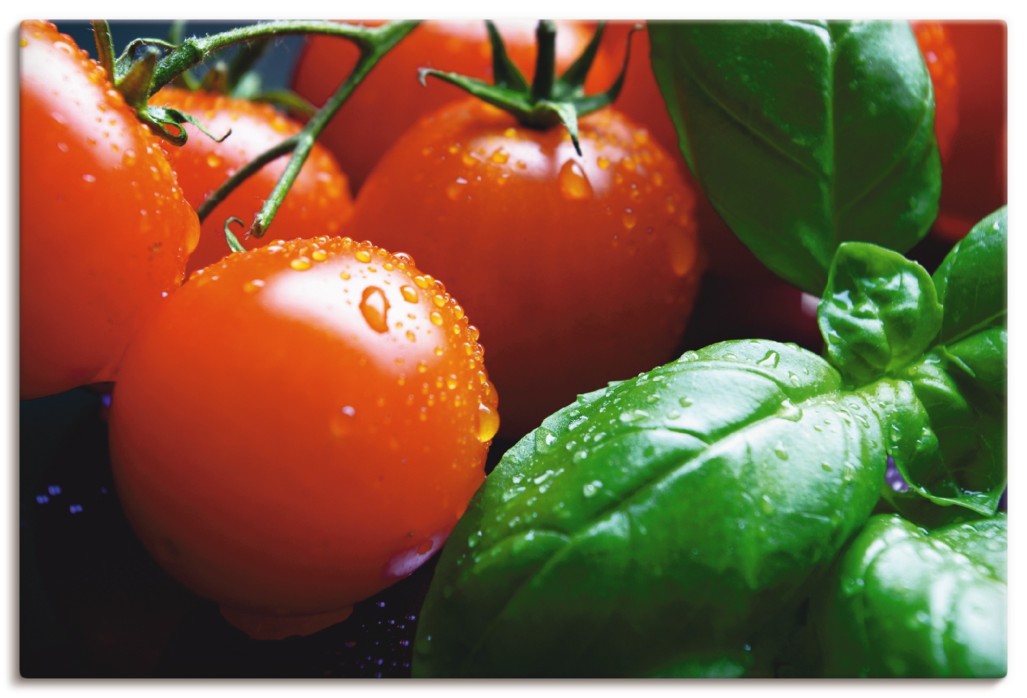 Artland Wandbild »Tomaten Basilikum Fine Art«, Lebensmittel, (1 St.), in vielen Größen & Produktarten - Alubild / Outdoorbild für den Außenbereich, Leinwandbild, Poster, Wandaufkleber / Wandtattoo auch für Badezimmer geeignet
