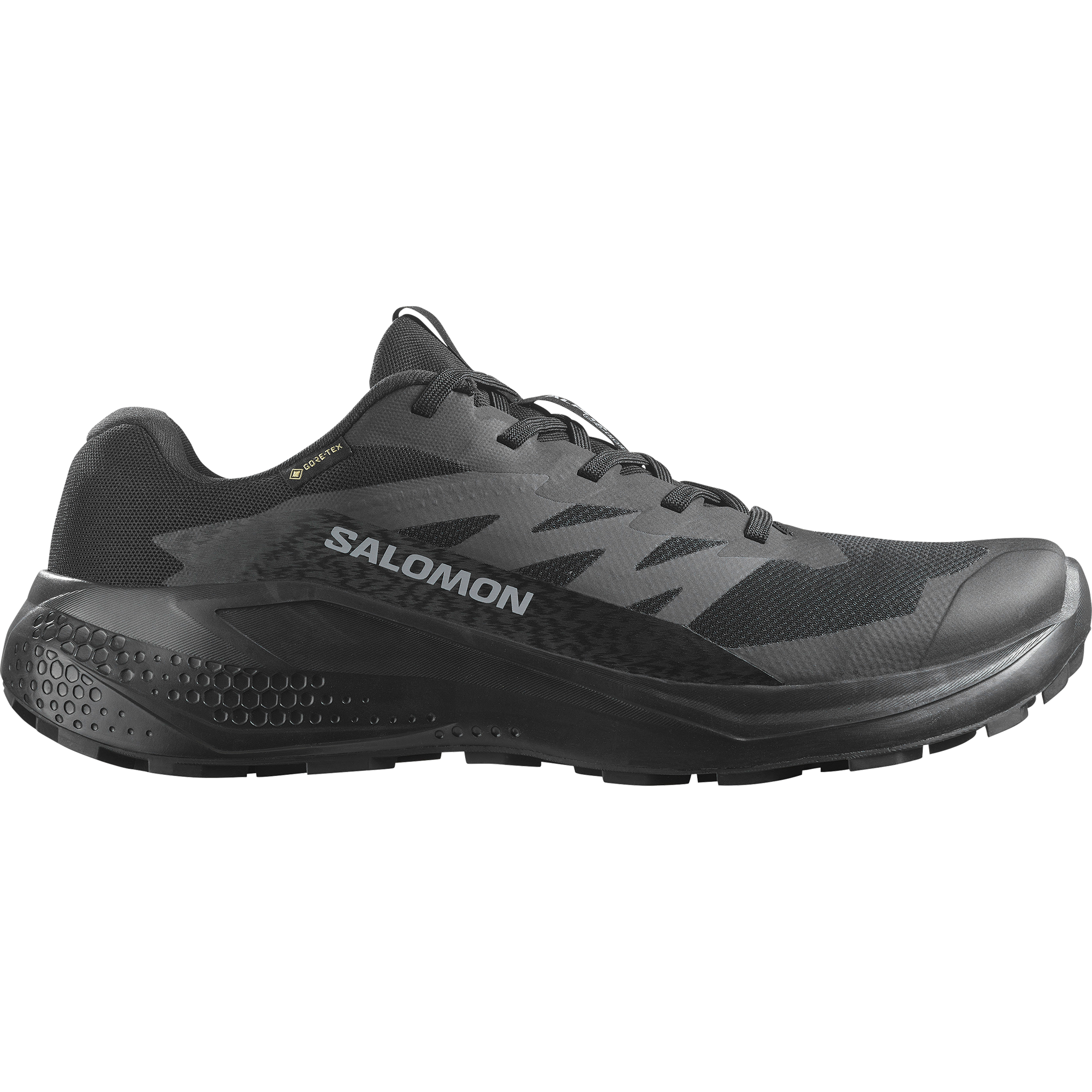Salomon Trailrunningschuh »ALPHAGLIDE GTX«, wasserdicht