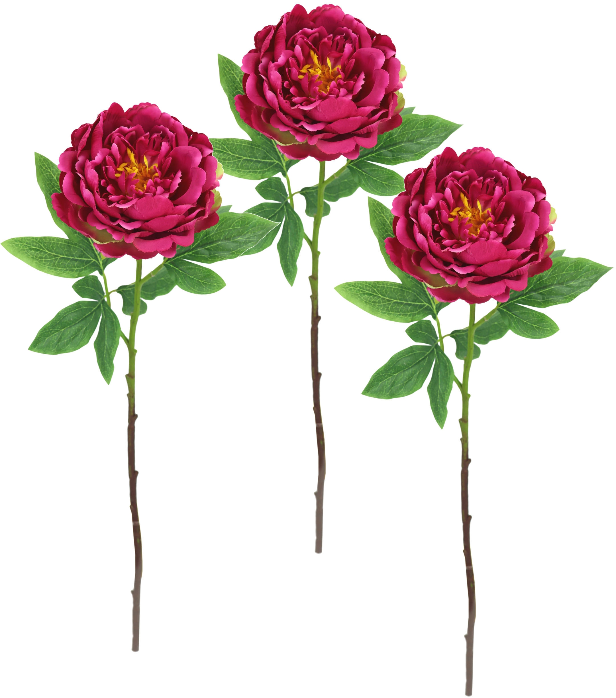 I.GE.A. Kunstblume »Päonie Bauernrose«, Pfingstrosen Einzelblume, 3er Set
