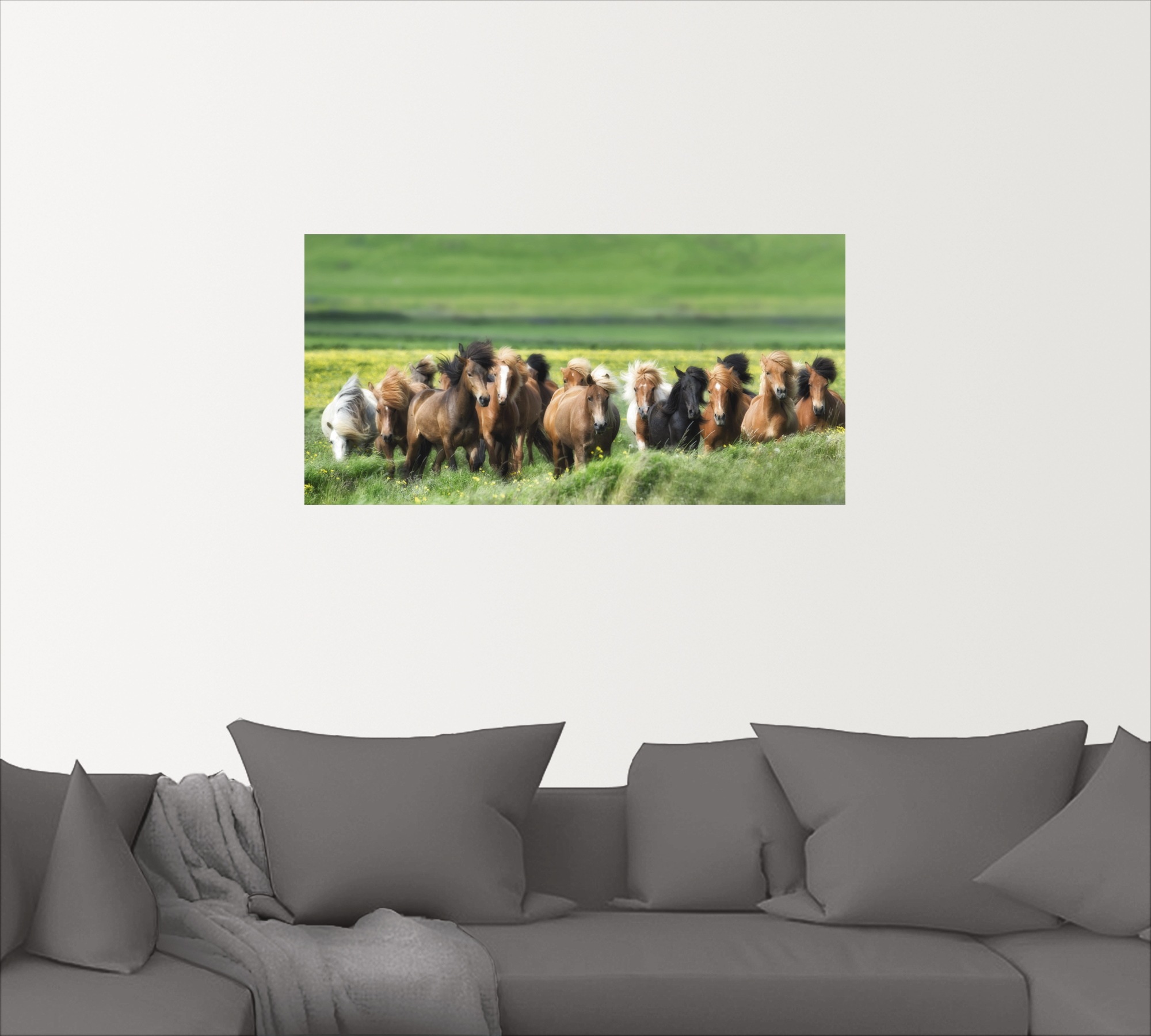 Artland Wandbild »Isländische Pferde XII«, Haustiere, (1 St.), in vielen Größen & Produktarten - Alubild / Outdoorbild für den Außenbereich, Leinwandbild, Poster, Wandaufkleber / Wandtattoo auch für Badezimmer geeignet