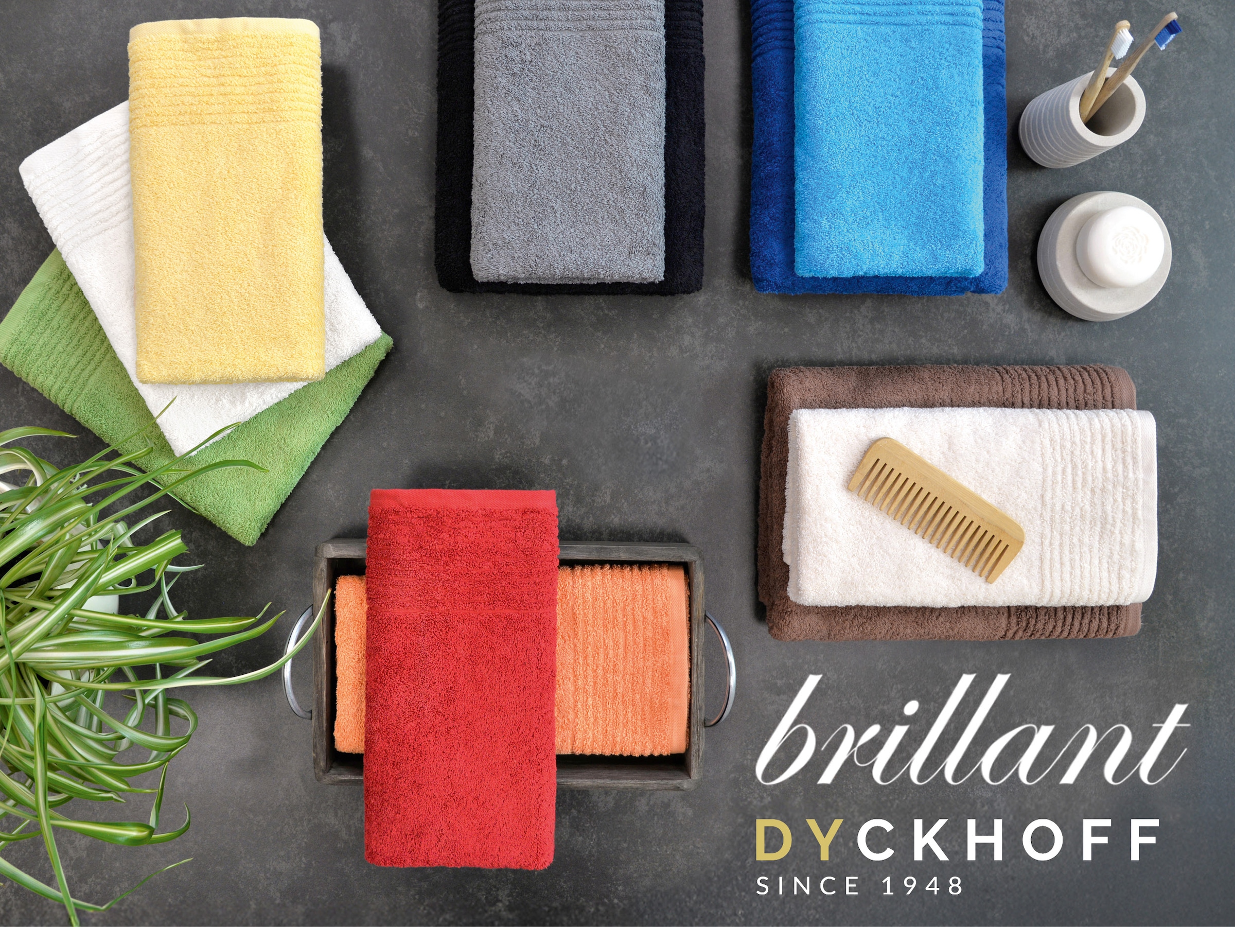 Dyckhoff Waschhandschuh »Waschhandschuh-Set BRILLANT 6-tlg., Baumwolle, 550 g/m²« Baumwolle