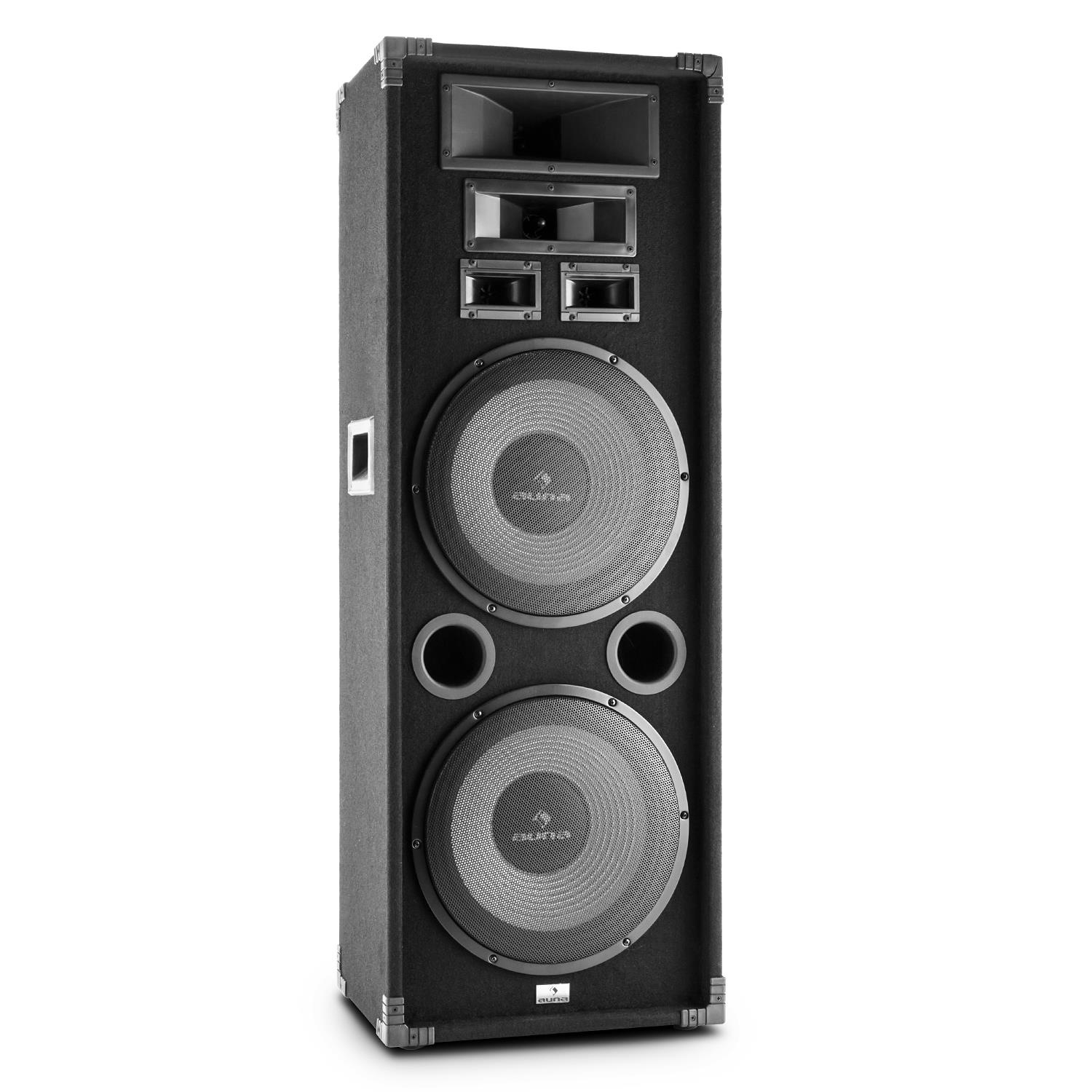 Auna Fullrange PA-Lautsprecher 2x12 Tieftöner 1000