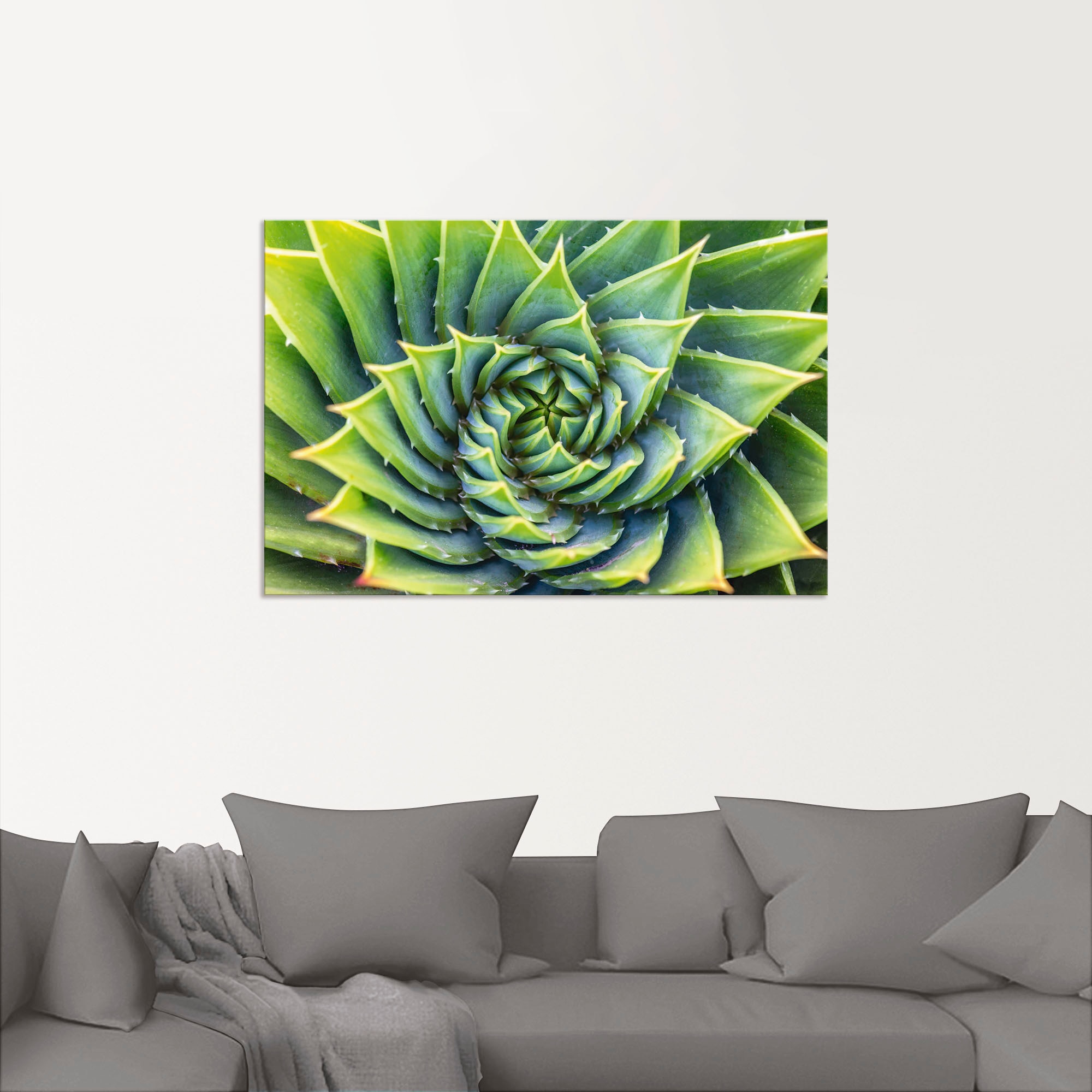Artland Wandbild »Grüne Spirale«, Pflanzenbilder, (1 St.), als Alubild, Leinwandbild, Wandaufkleber oder Poster in versch. Größen