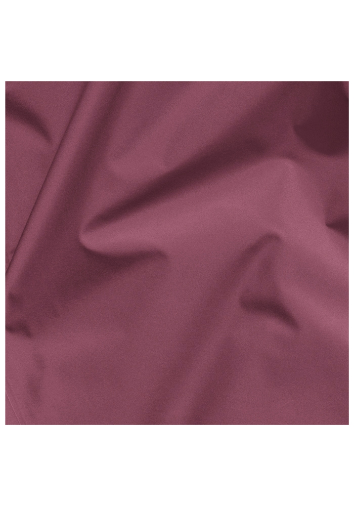 Jack Wolfskin Funktionsjacke »TEMPEST 2L JKT W«, mit Kapuze