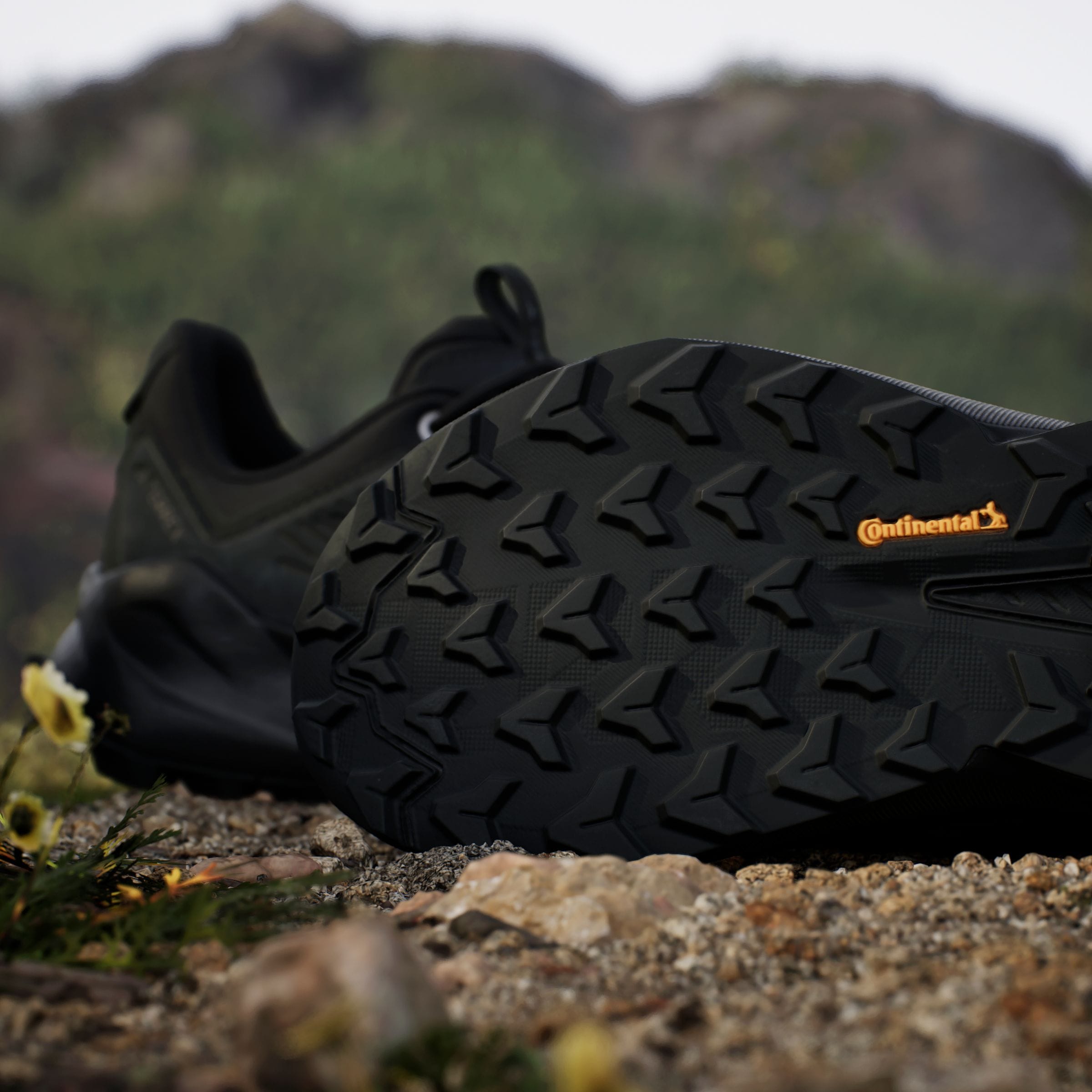 adidas TERREX Wanderschuh »TERREX TRAILMAKER 2.0 LEATHER«, aus Leder