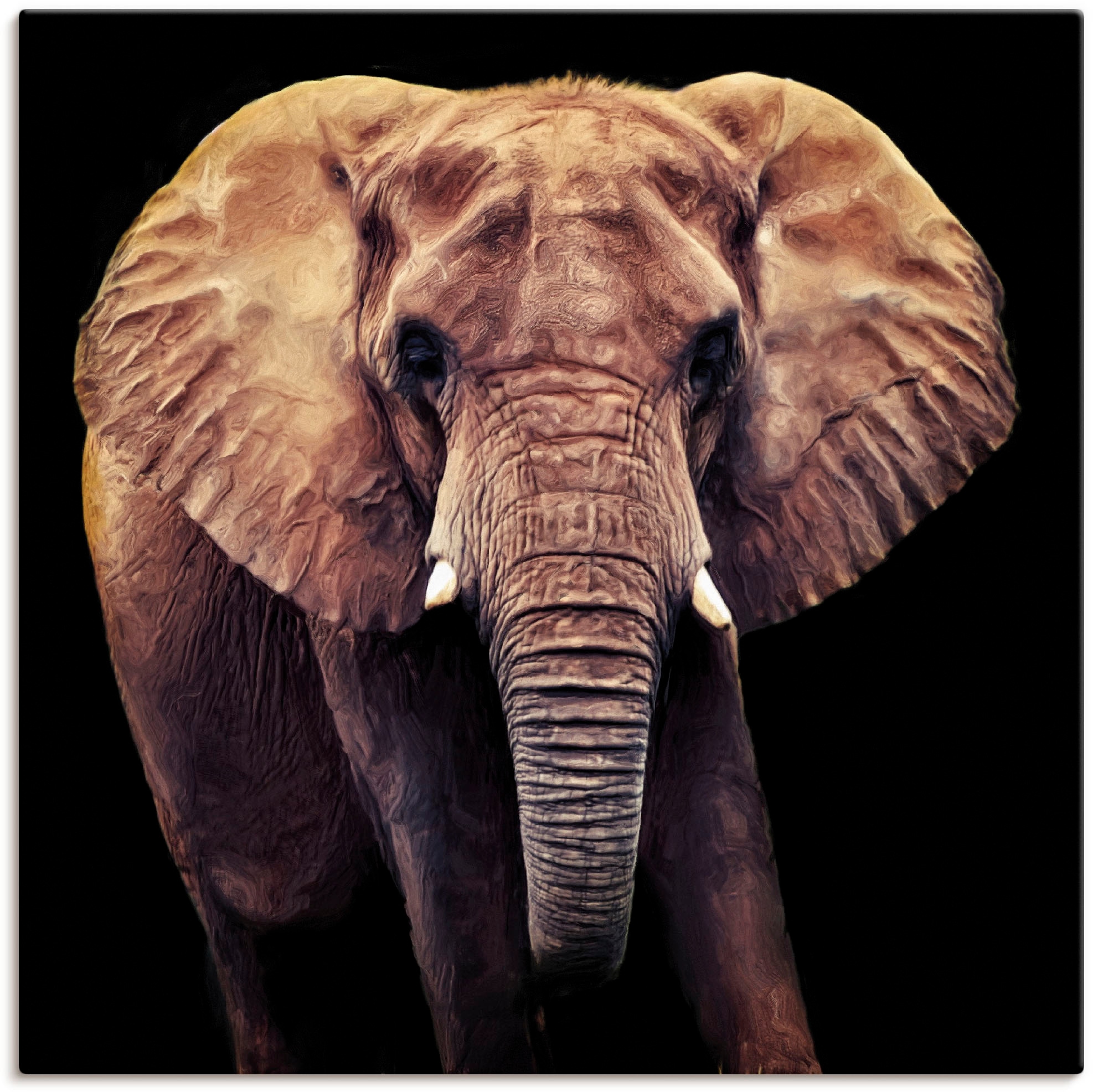 oder Größen St.), OTTO Wandbild Artland (1 in Wandaufkleber Wildtiere, im Online Shop »Elefant«, Poster versch. Leinwandbild, als