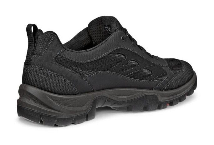 Ecco Schnürschuh »XPEDITION 3 M«, mit GORE-TEX, Outdoorschuh, Halbschuh, Schnürschuh