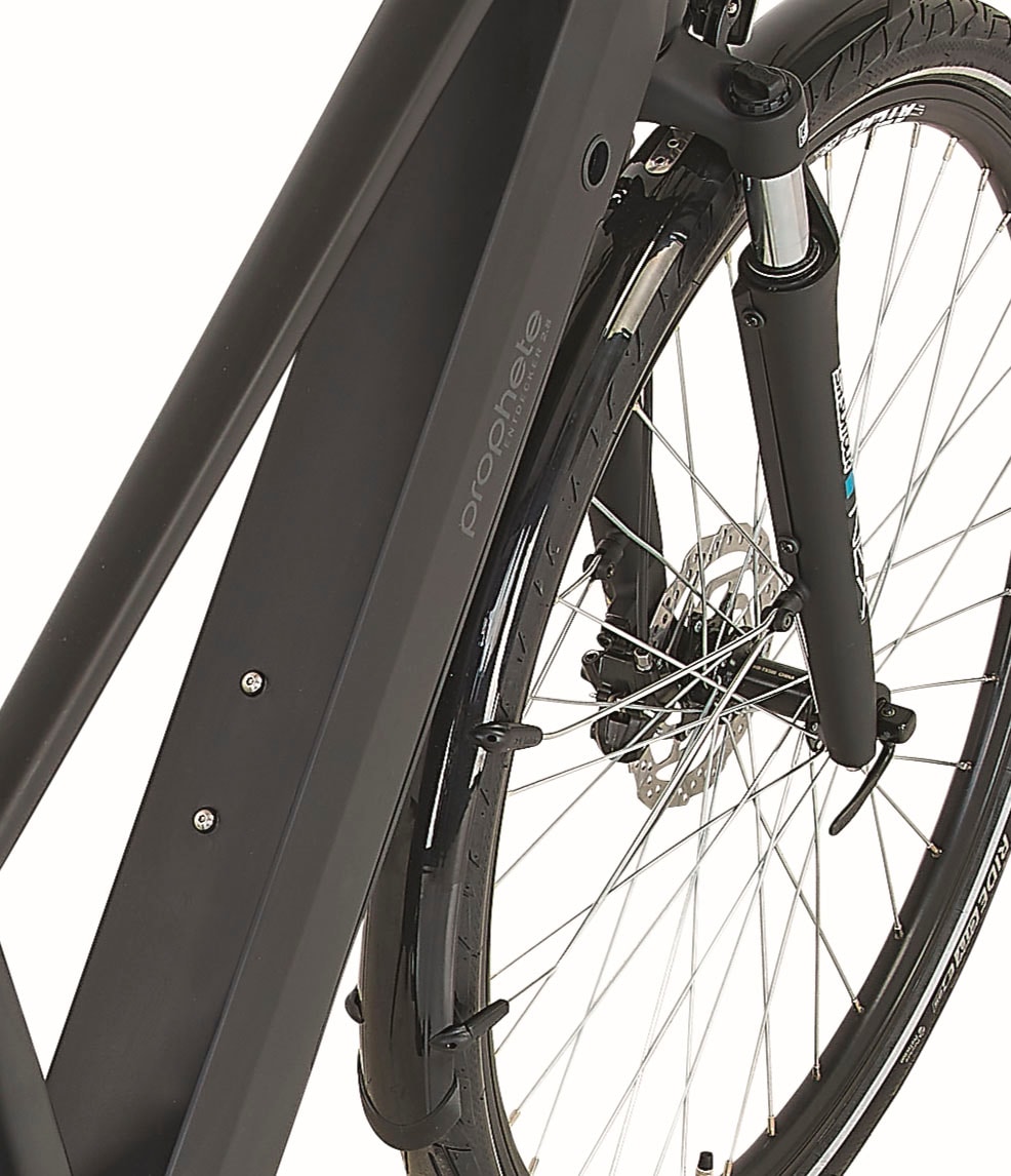 Prophete E-Bike »Entdecker 2.8«, 8 Gang, Shimano, Altus, Heckmotor 250 W, Pedelec, Elektrofahrrad für Damen