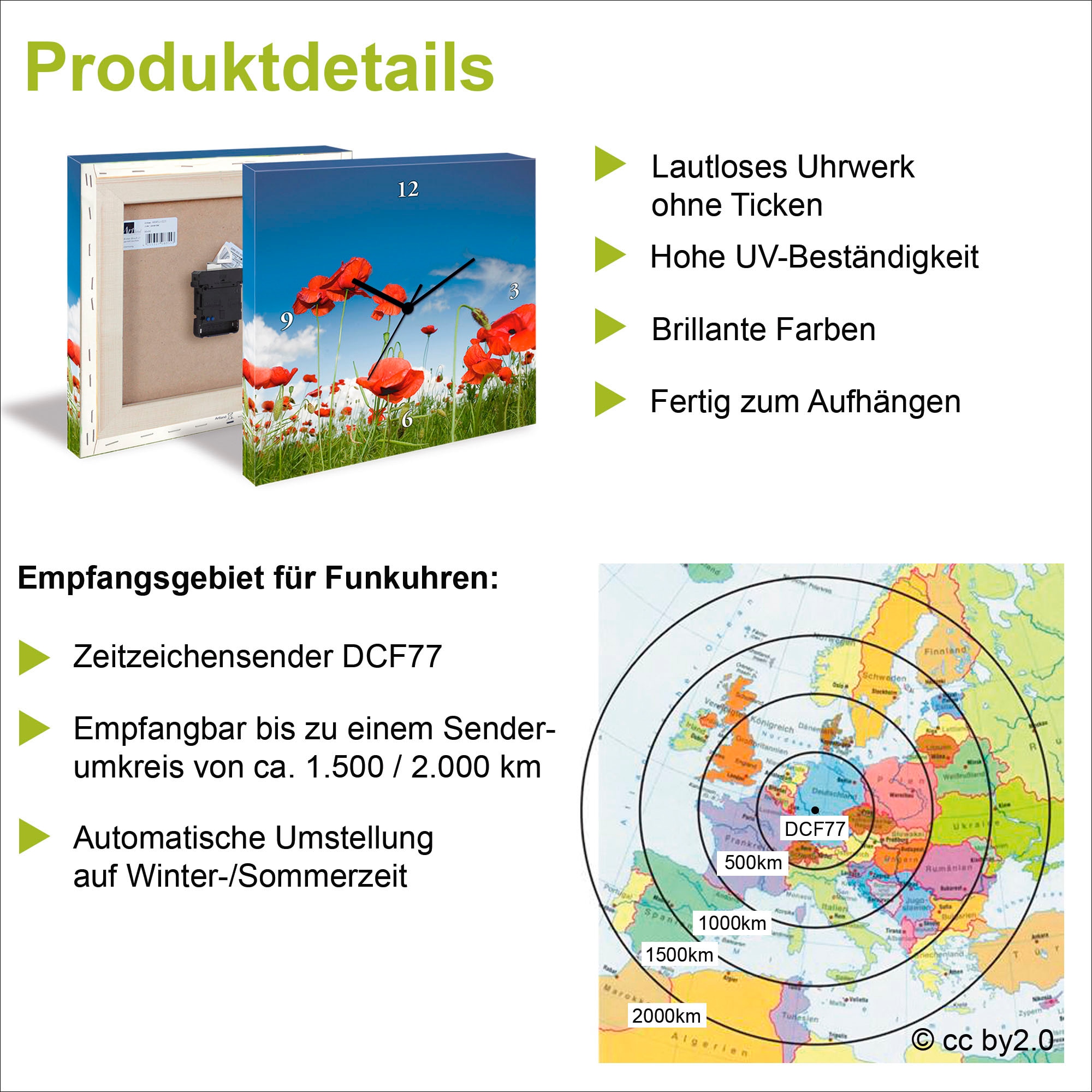 Artland Wanduhr »Großaufnahme eines Frosches vor weiß«, wahlweise mit Quarz- oder Funkuhrwerk, lautlos ohne Tickgeräusche