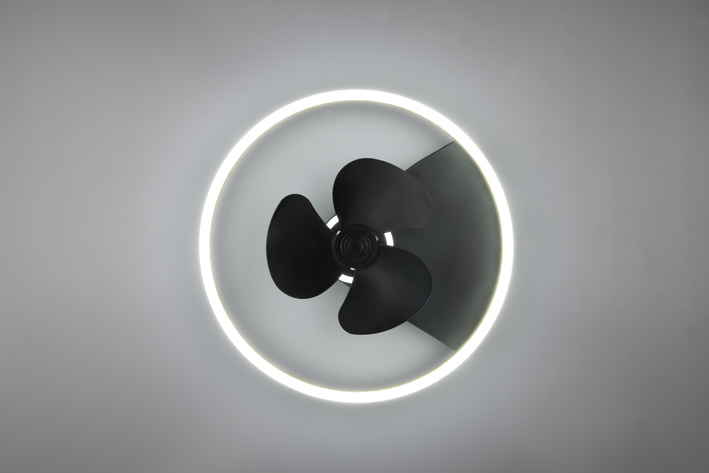 TRIO Leuchten LED Deckenleuchte »Borgholm«, mit Ventilator, Fernbedienung,  integrierter Dimmer und Nachtlicht. Leuchte und Ventilator getrennt  schaltbar kaufen online bei OTTO
