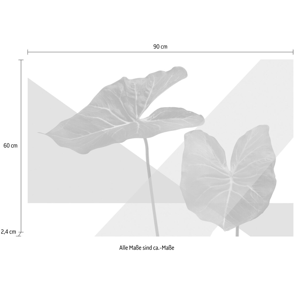 queence Acrylglasbild »Blätter«