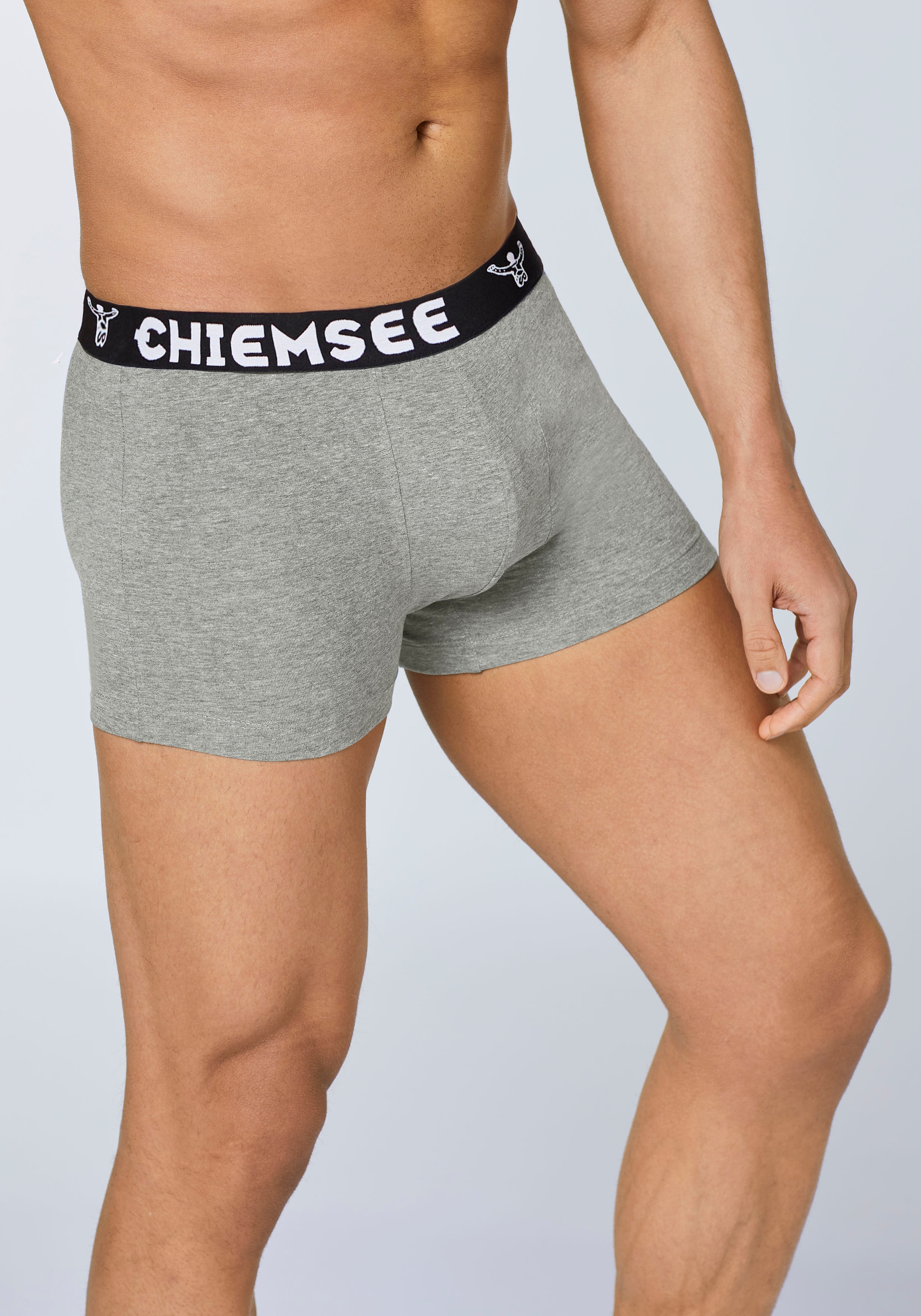 Chiemsee Retro Boxer