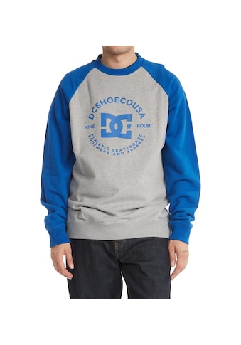 DC Shoes Sweatshirt »DC Star Pilot« kaufen