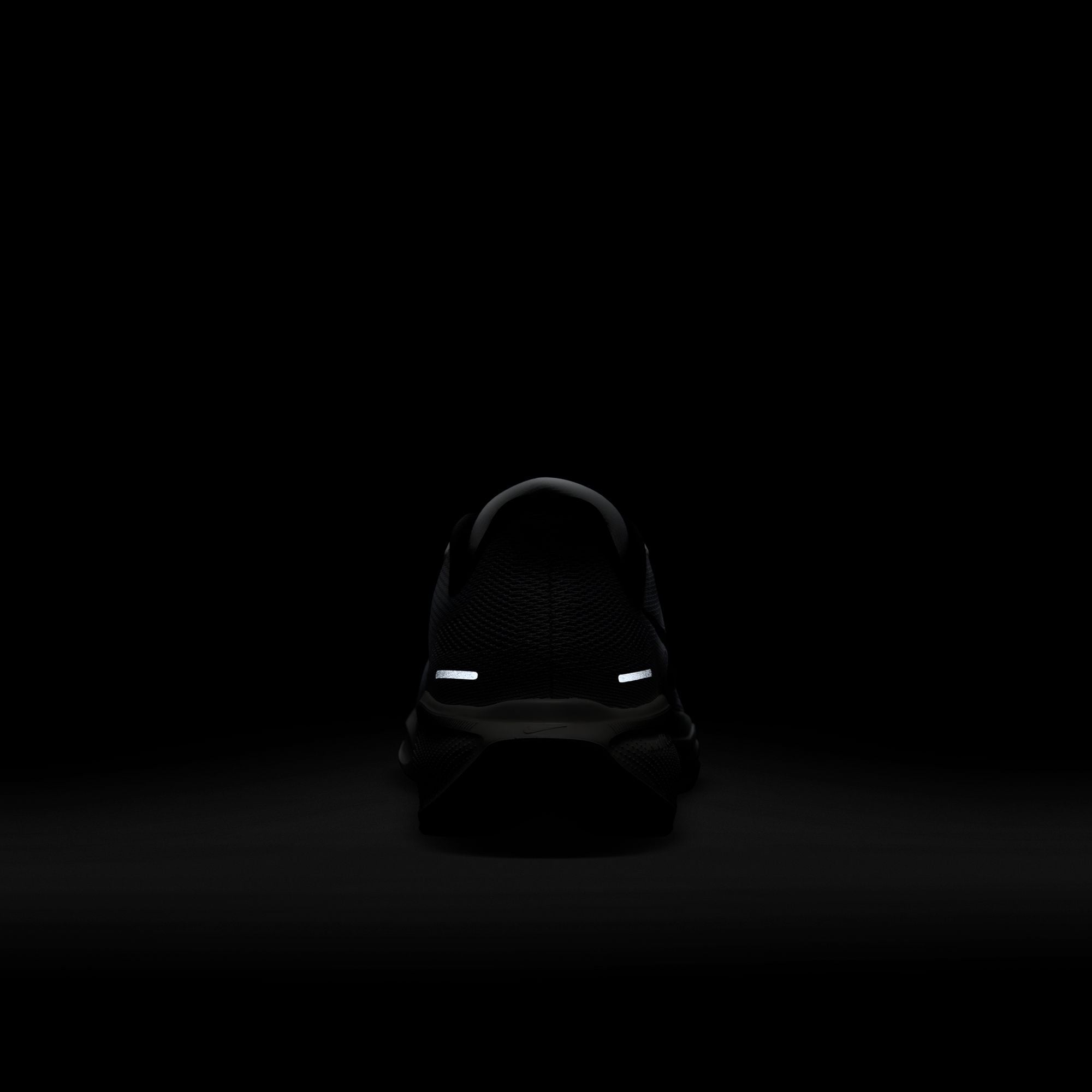 Nike Laufschuh »AIR ZOOM PEGASUS 41«