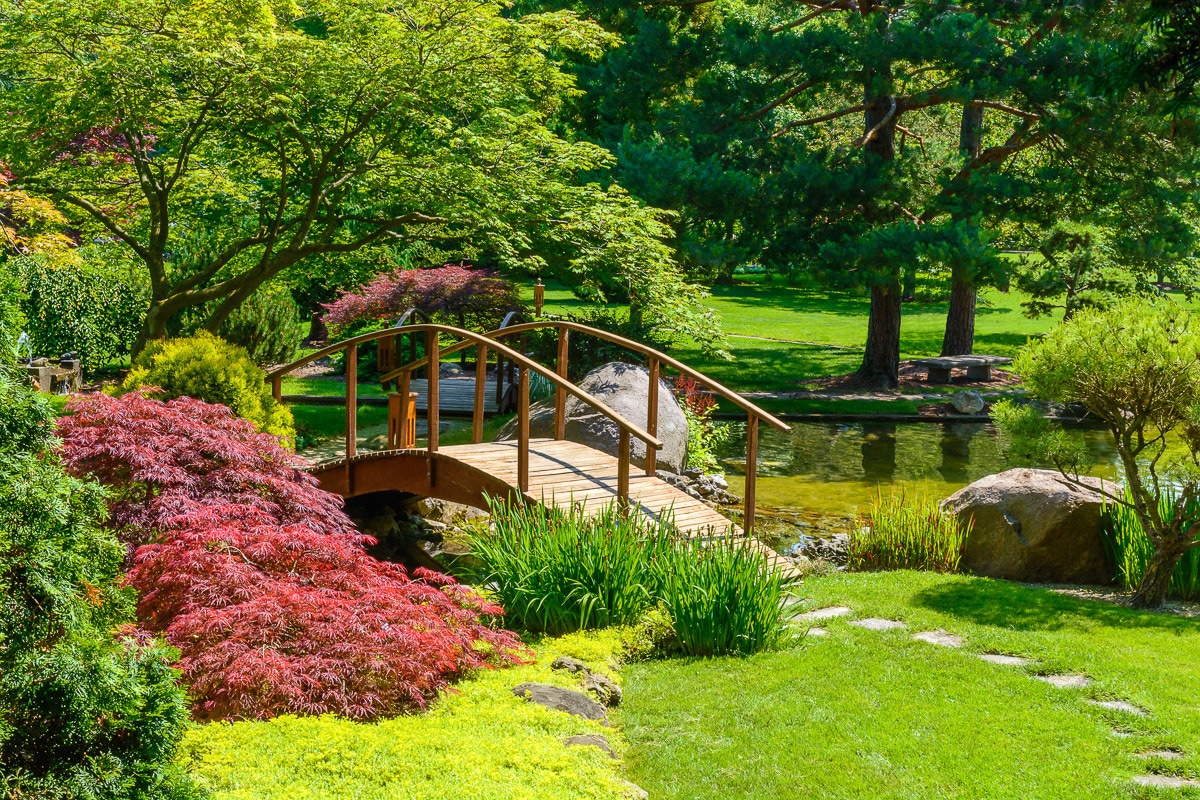 Fototapete »Japanischer Garten«