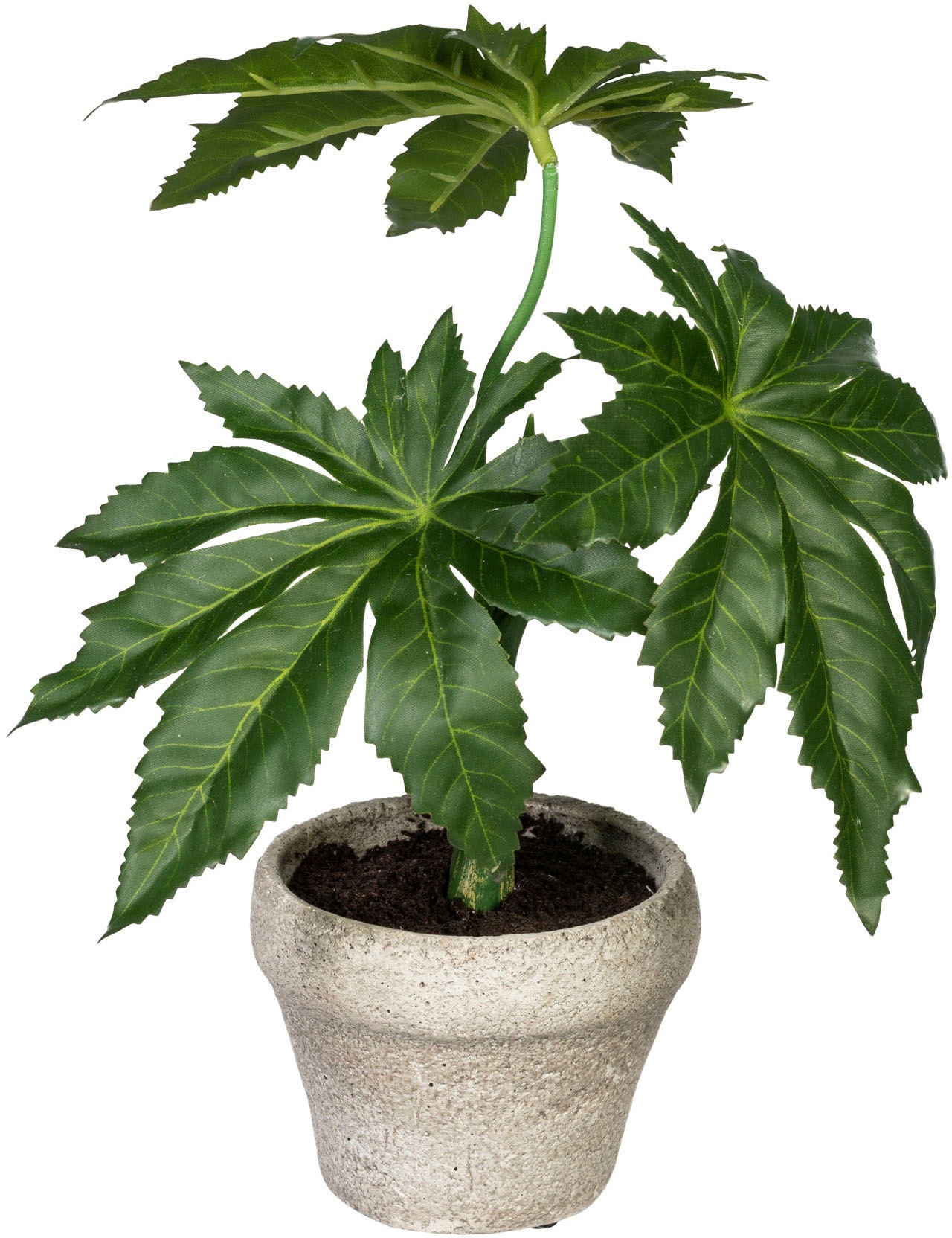 Creativ green Künstliche Zimmerpflanze »Set aus Grünpflanzen«, (3 St.), im  Zementtopf, 3er Set kaufen im OTTO Online Shop