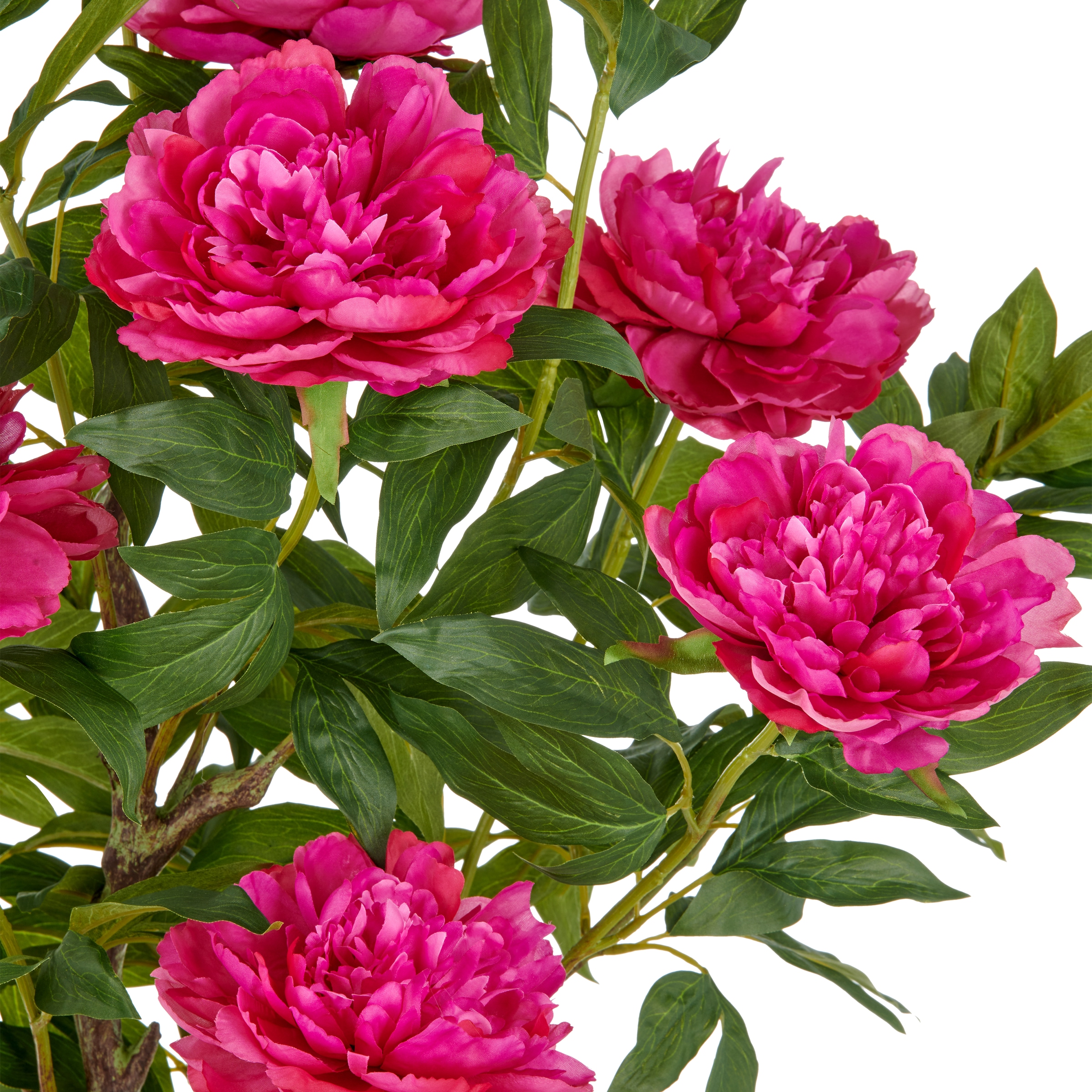 Creativ green Kunstpflanze »Peonie« im eleganten Topf
