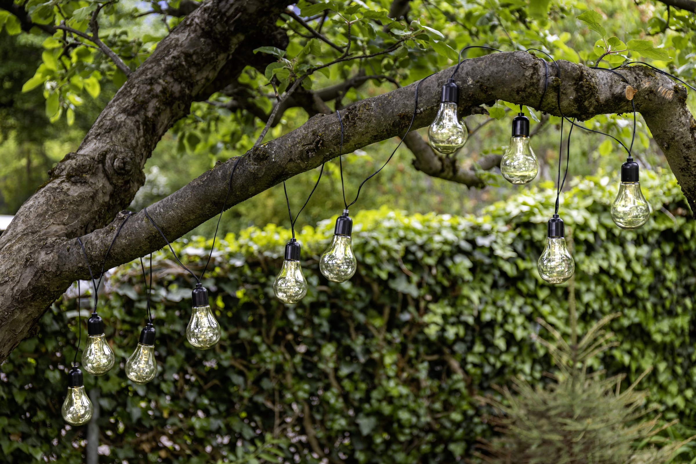 EGLO Lichterkette »LED Lichterkette Libisa, Balkon Deko, Glühbirnen, IP44 Outdoor,« 10 Stk.-flammig Kunststoff, 10 Leuchtmittel, 4,05m Kabel, batteriebetrieben, Terrasse