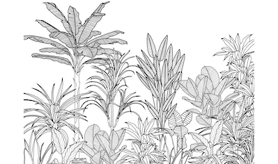 Komar Fototapete »Savanna«, botanisch-tropisch-Motiv, BxL: 350x250 cm, 150 g/m²,... kaufen