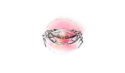 Komar Poster »Crab Watercolor«, Tiere, Höhe: 50cm kaufen