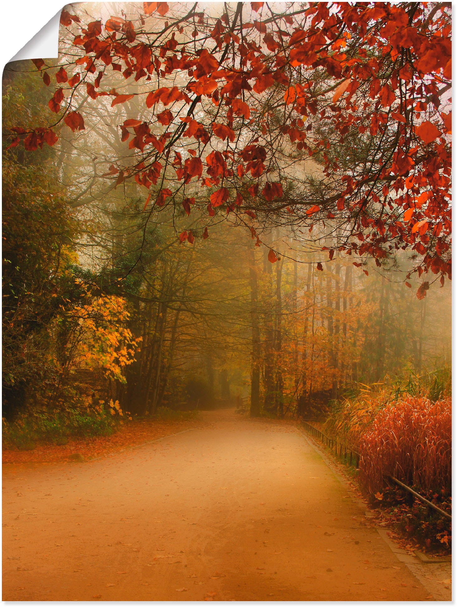online Wandbild Artland Poster »Herbst im bei (1 in verschied. Park«, St.), als Vier Jahreszeiten, OTTO Größen