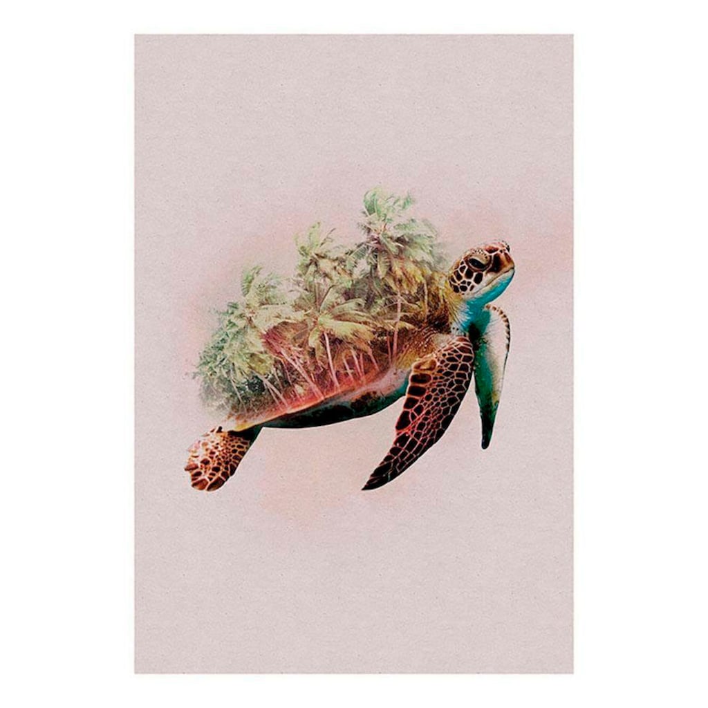 Komar Poster »Animals Paradise Turtle«, Tiere, (1 St.)