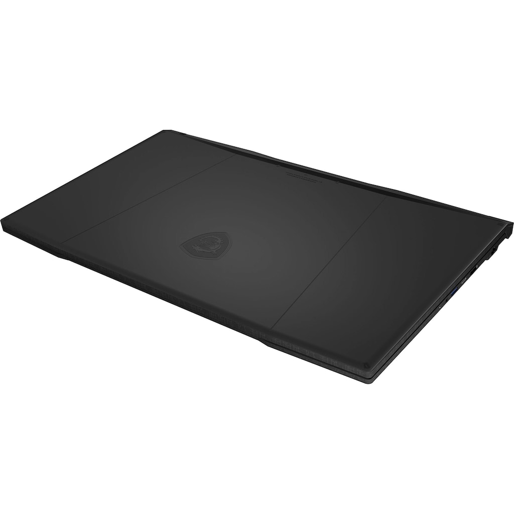 MSI Gaming-Notebook »Katana 17 B12VEK-407«, 43,9 cm, / 17,3 Zoll, Intel, Core i5, GeForce RTX 4050, 1000 GB SSD