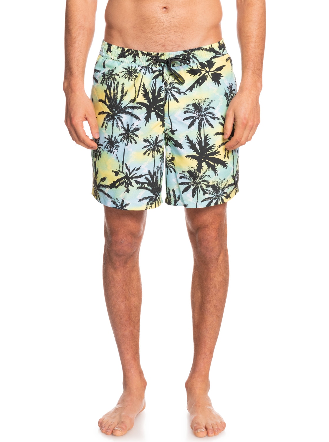 Quiksilver Boardshorts »Everyday Mix 17"«