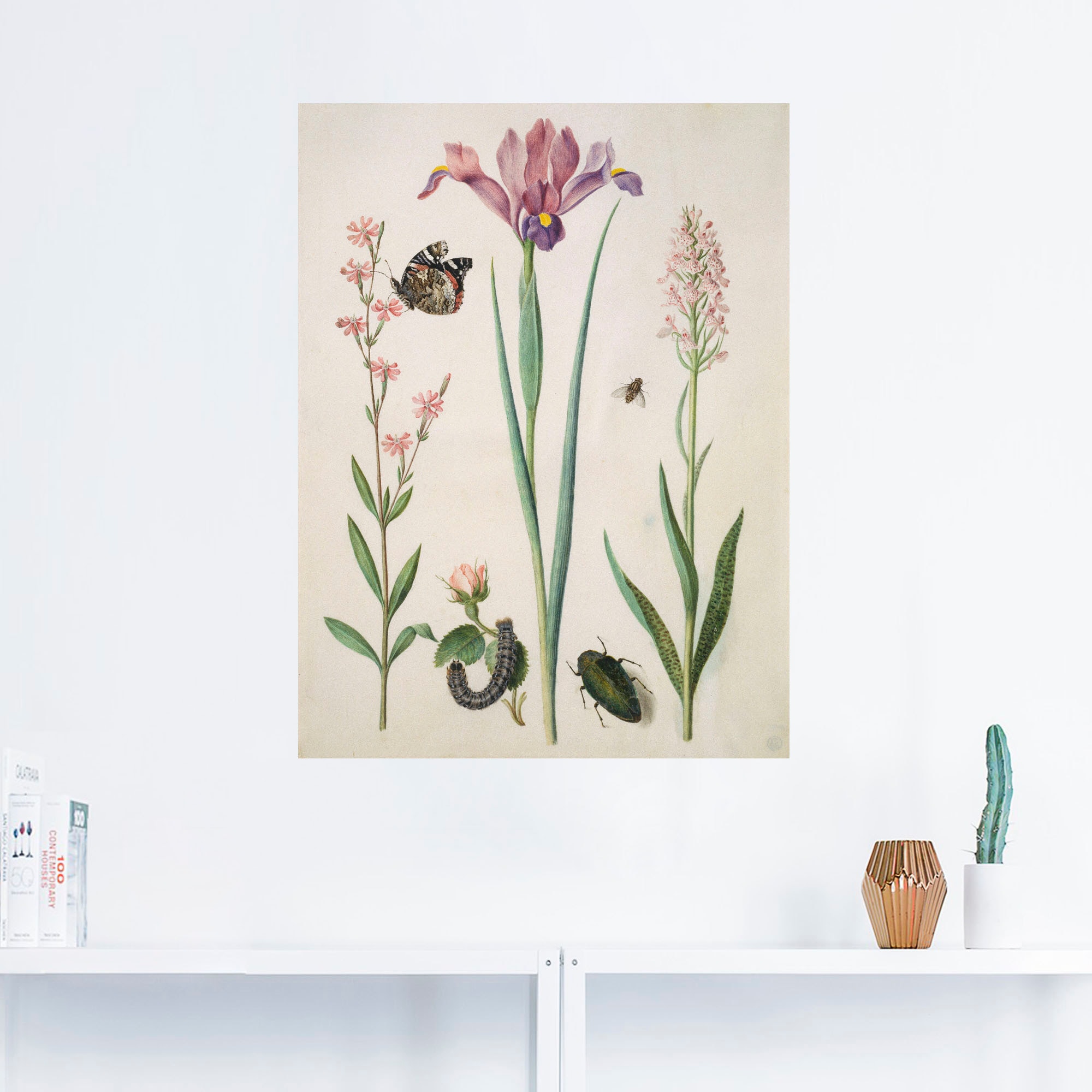 Rose »Admiral, Wandaufkleber Poster, (1 verschied. Wandbild Pflanzen, Artland als Iris in Knabenkraut.«, St.), Größen OTTO bei
