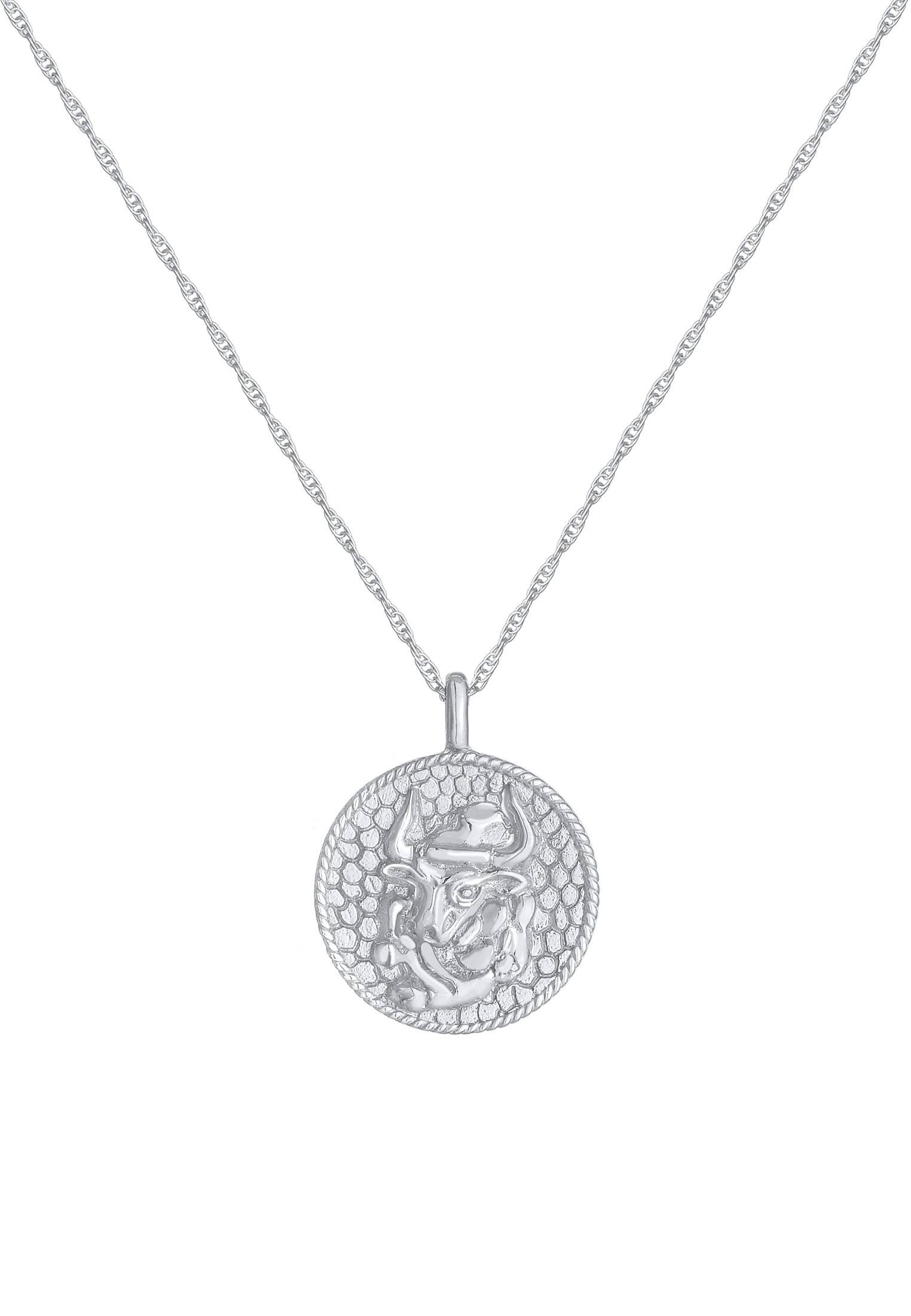 Elli Kette mit Anhänger »Halskette Sternzeichen Stier Zodiac Astro Münze 925 Silber«
