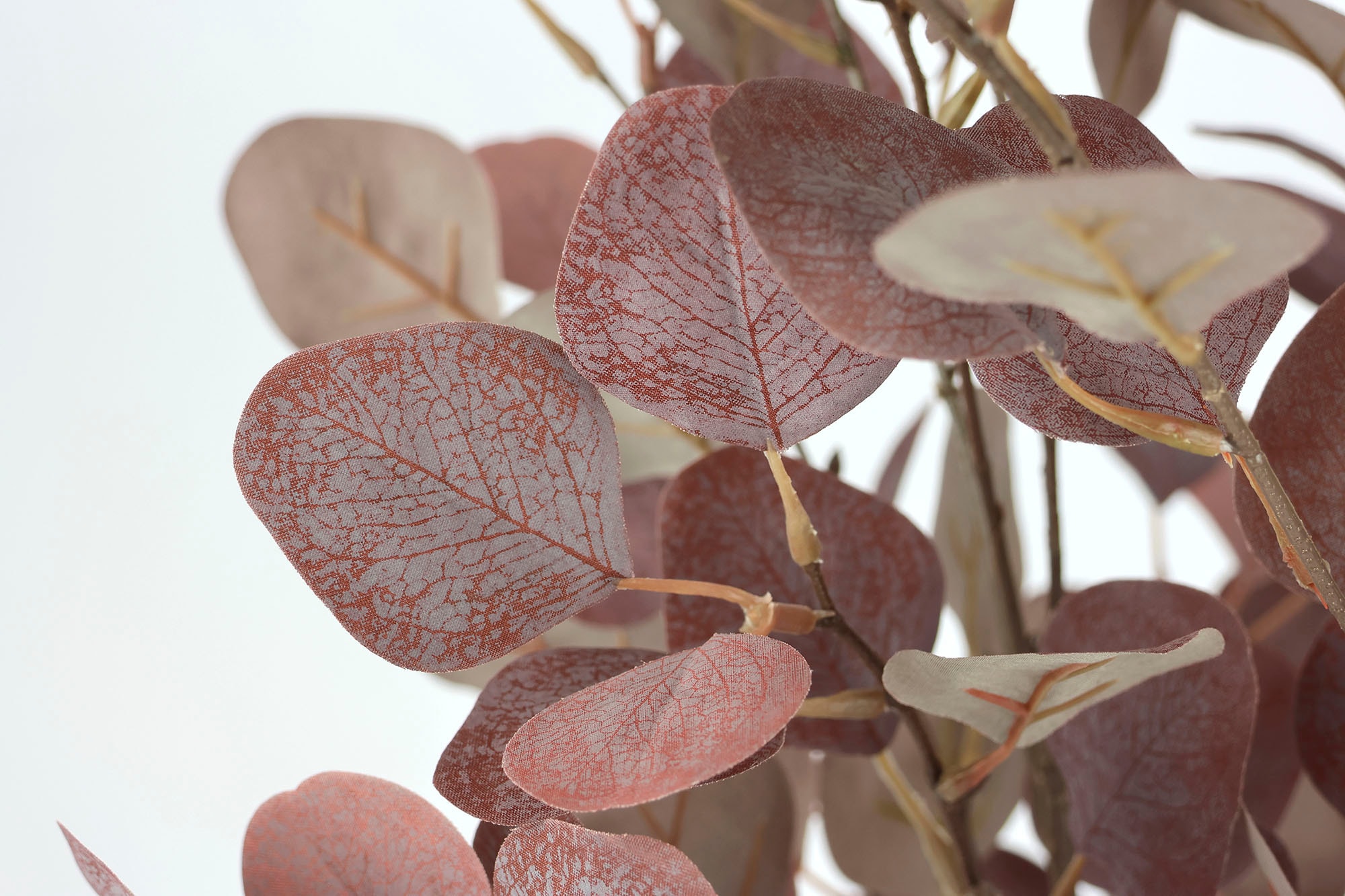 I.GE.A. Kunstpflanze »Eukalyptuspflanze« Im Topf künstlicher Eukalyptus Eukalyptusbaum Eukalyptusbusch Pflanze