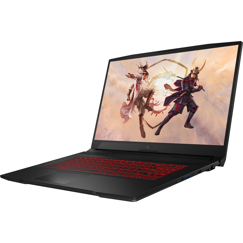 MSI Gaming-Notebook »Katana GF76 11UE-058«, 43,9 cm, / 17,3 Zoll, Intel, Core i7, GeForce RTX 3060, 1000 GB SSD