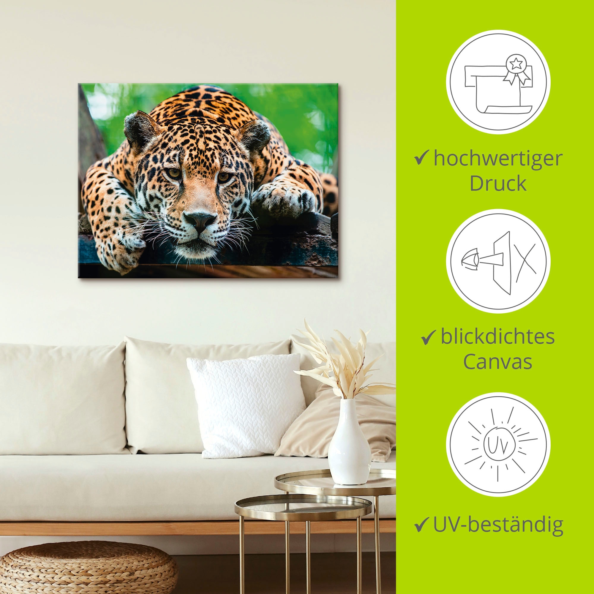 Artland Wandbild »Südamerikanischer Jaguar«, Wildtiere, (1 St.), als Alubild, Outdoorbild, Leinwandbild, Poster, Wandaufkleber