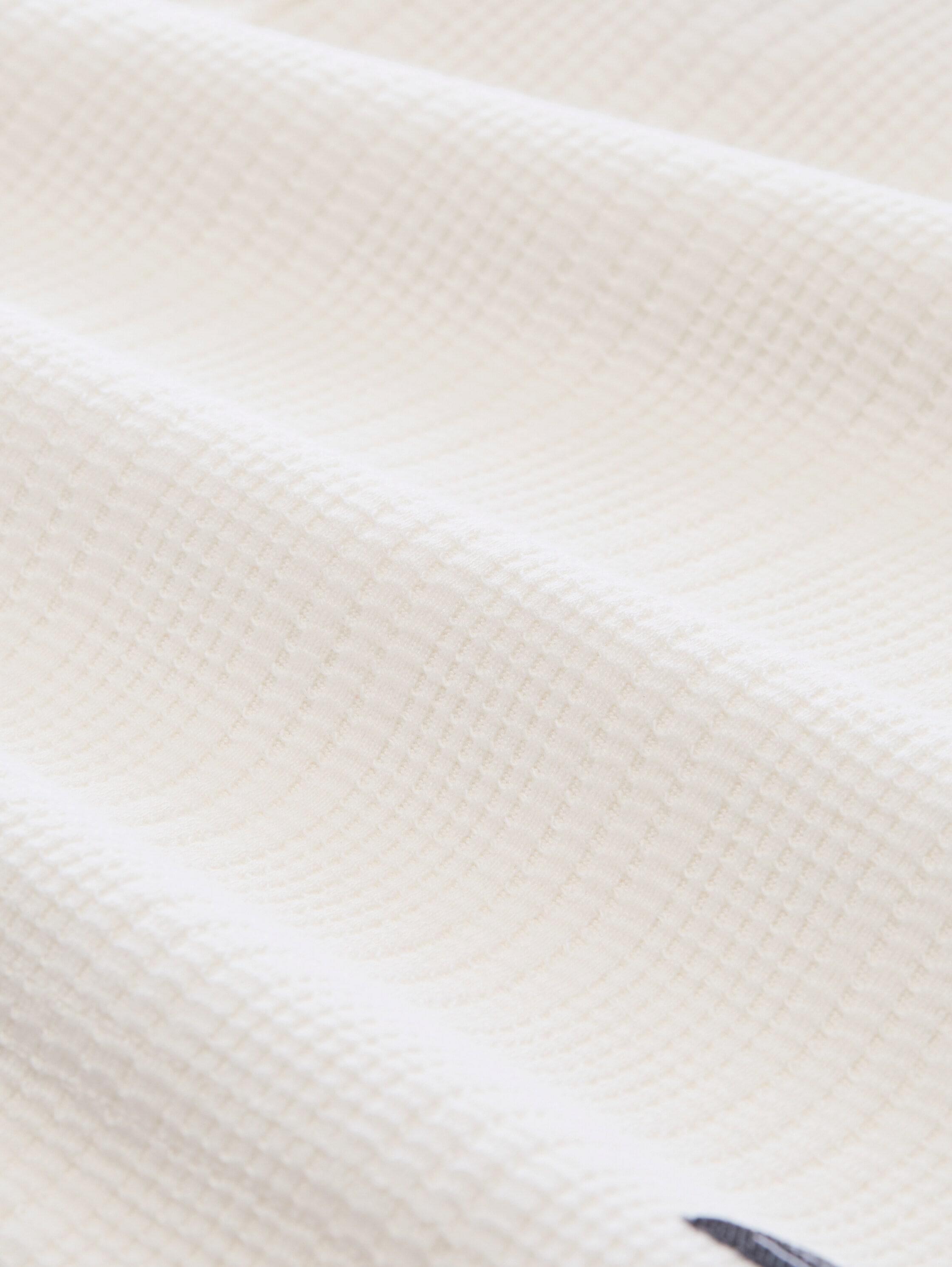 TOM TAILOR Denim Shorts