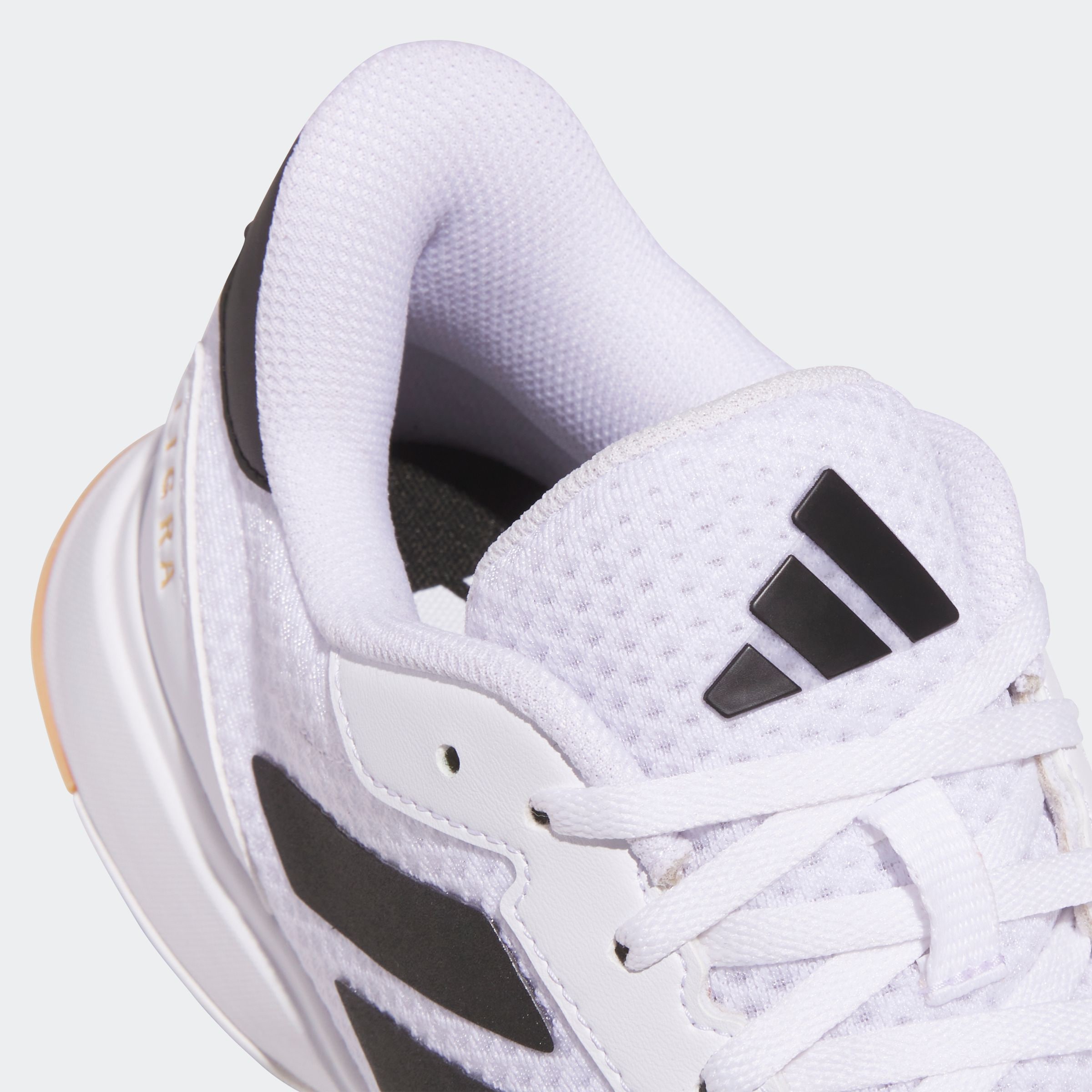 adidas Performance Hallenschuh, geeignet für jeden Hallensport