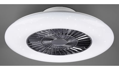 TRIO Leuchten LED Deckenleuchte »Visby«, mit Ventilator, Fernbedienung, integrierter... kaufen
