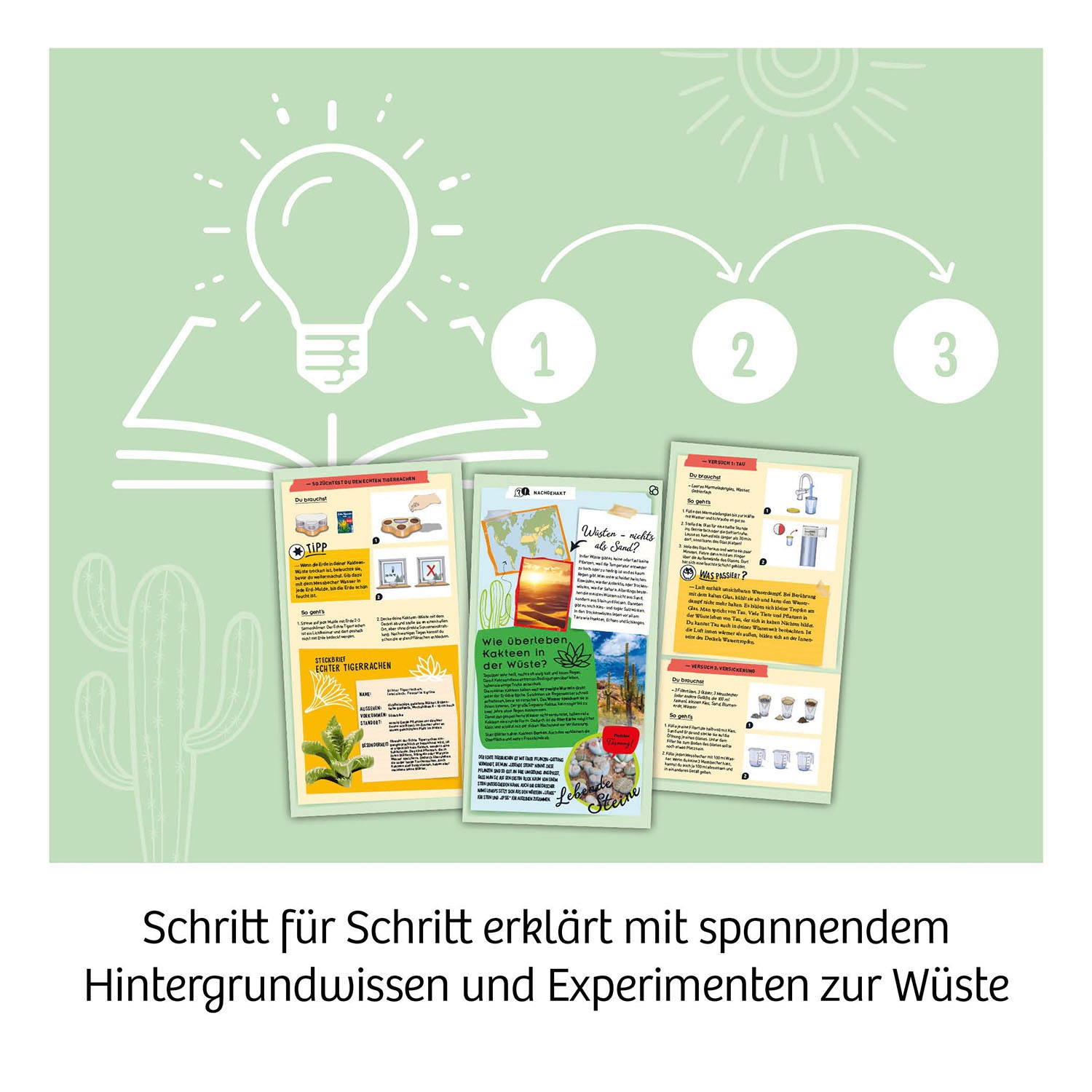 Kosmos Experimentierkasten »Kakteen-Wüste«, Made in Germany