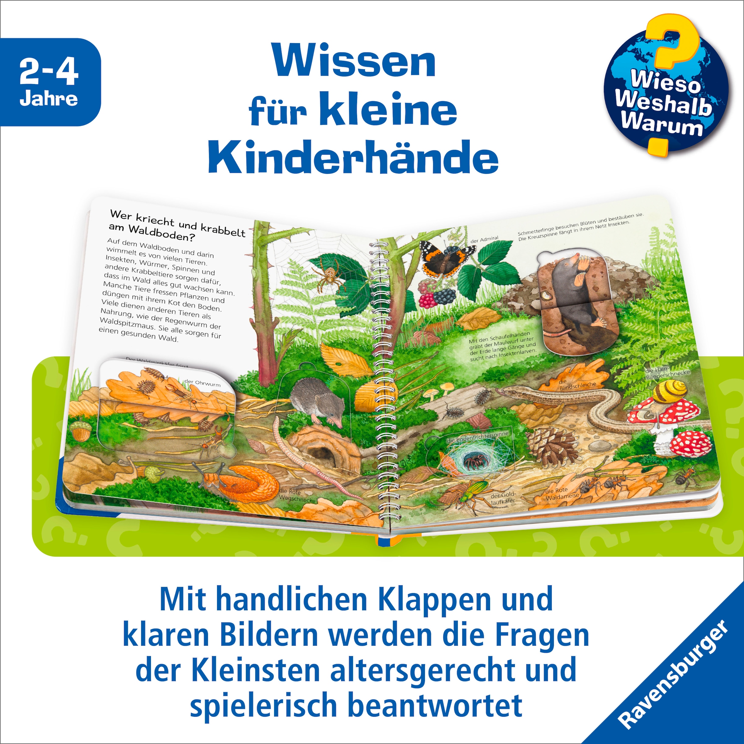 Ravensburger Buch »Wieso? Weshalb? Warum? junior, Band 77: Tiere im Wald«, Made in Europe